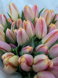 Farm Fresh Tulipa En Kunyun ( Bunch of 50stems, Length 37cm)