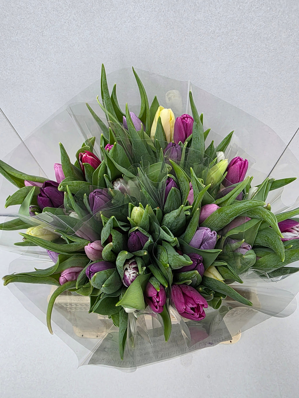 Farm Fresh Tulipa En Mixed Pastel( Bunch of 50stems, Length 36cm)