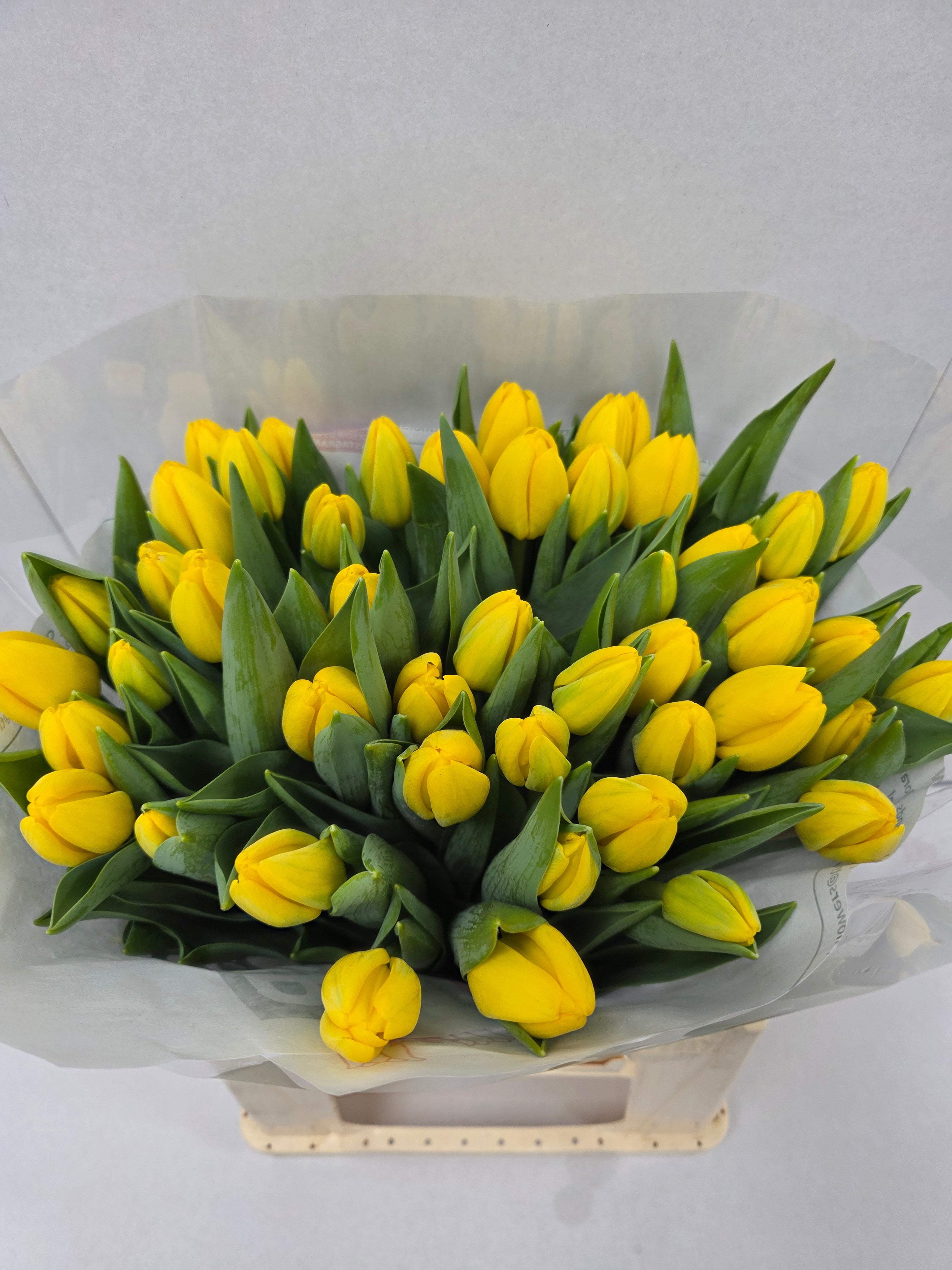 Farm Fresh Tulipa En Novi Sun( Bunch of 50stems, Length 40cm)
