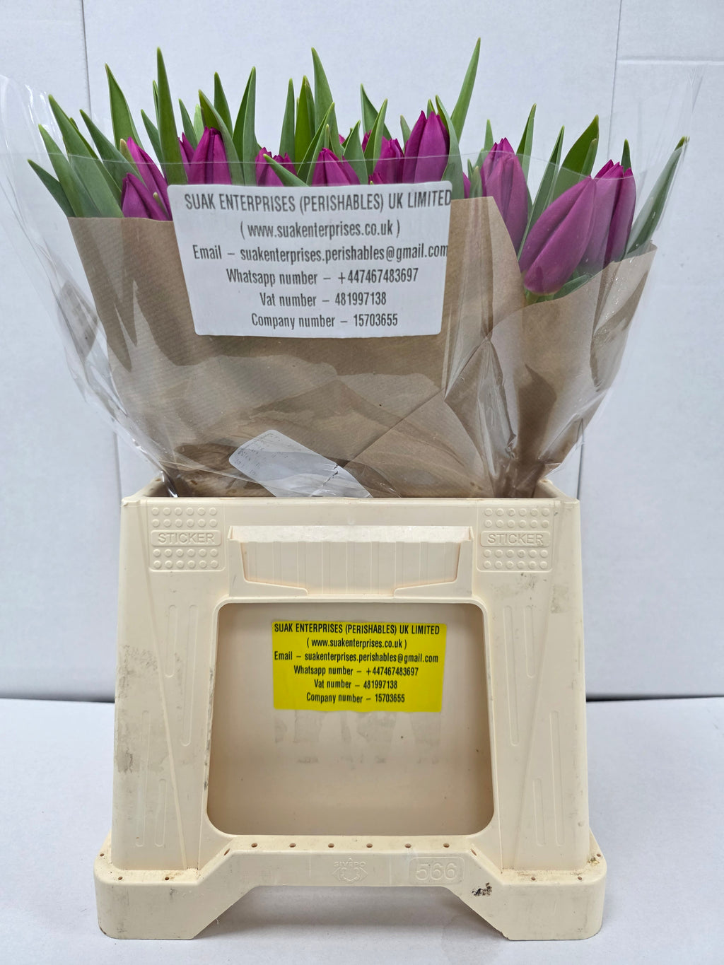 Farm Fresh Tulipa En Pink Ardour( Bunch of 50stems, Length 40cm)