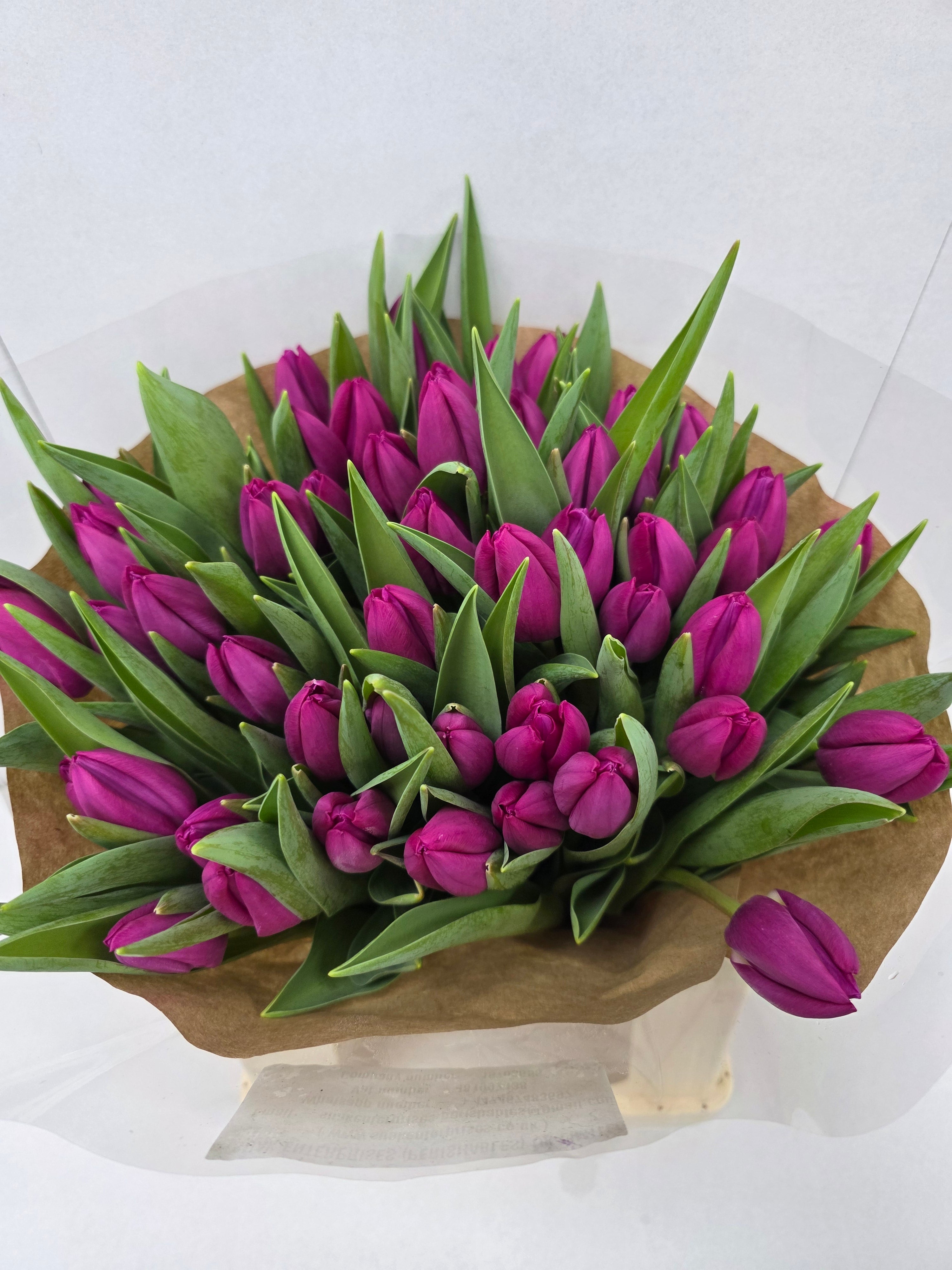 Farm Fresh Tulipa En Pink Ardour( Bunch of 50stems, Length 40cm)