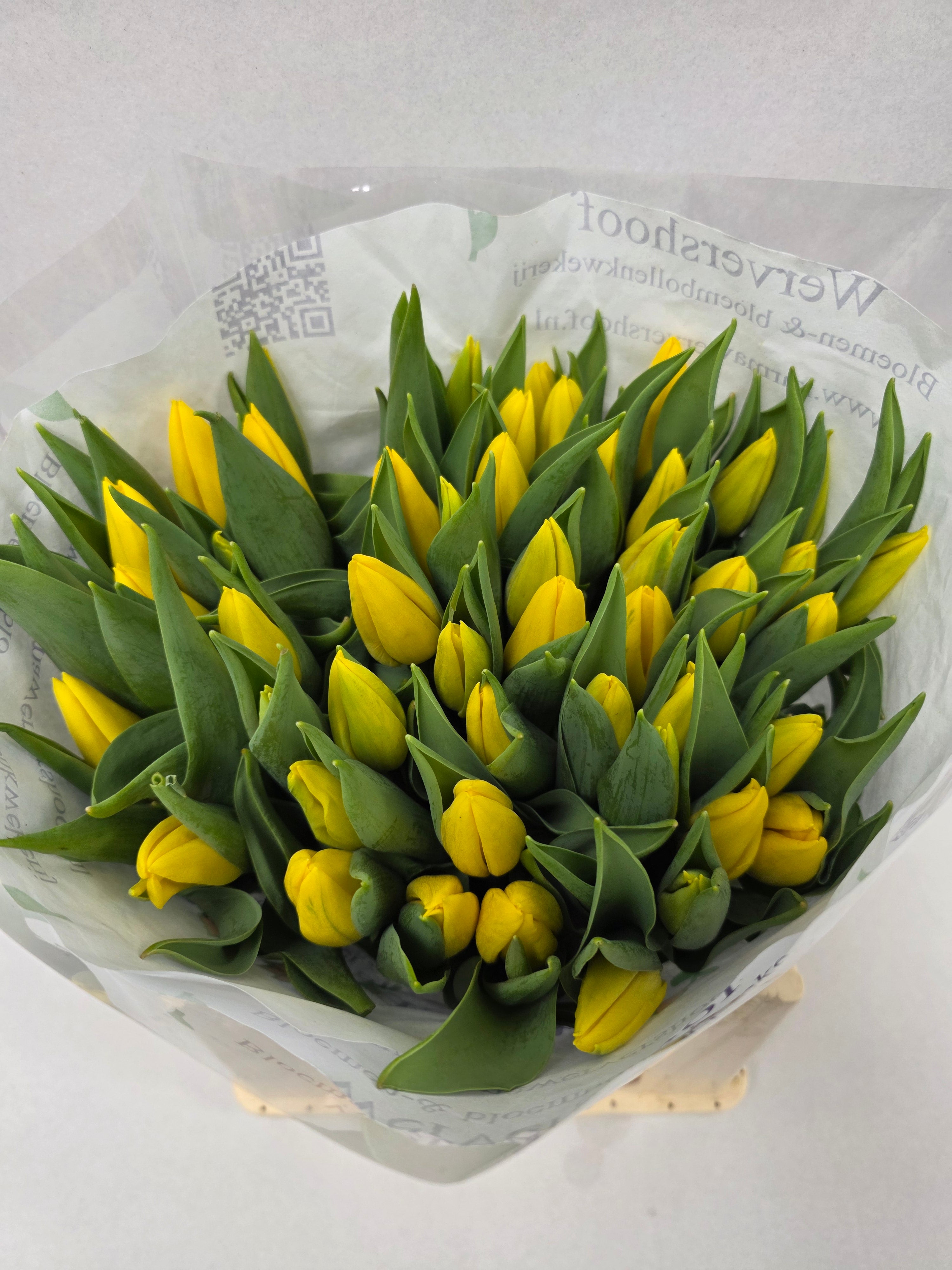 Farm Fresh Tulipa En Strong Gold( Bunch of 50stems, Length 38cm)