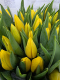 Farm Fresh Tulipa En Strong Gold( Bunch of 50stems, Length 38cm)