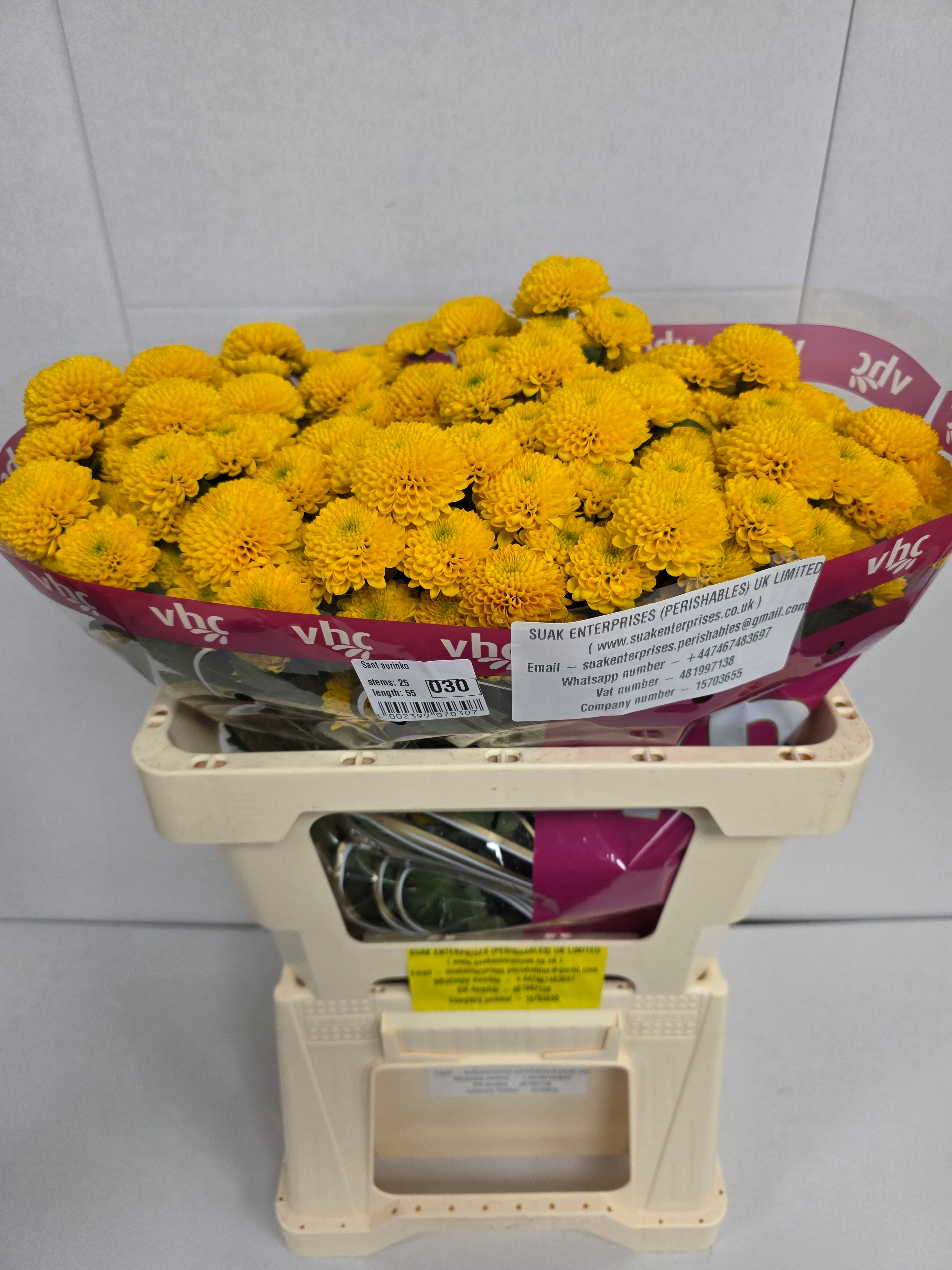 Santani Aurinko(Bunch of 25 stems, Length 50-60cm)