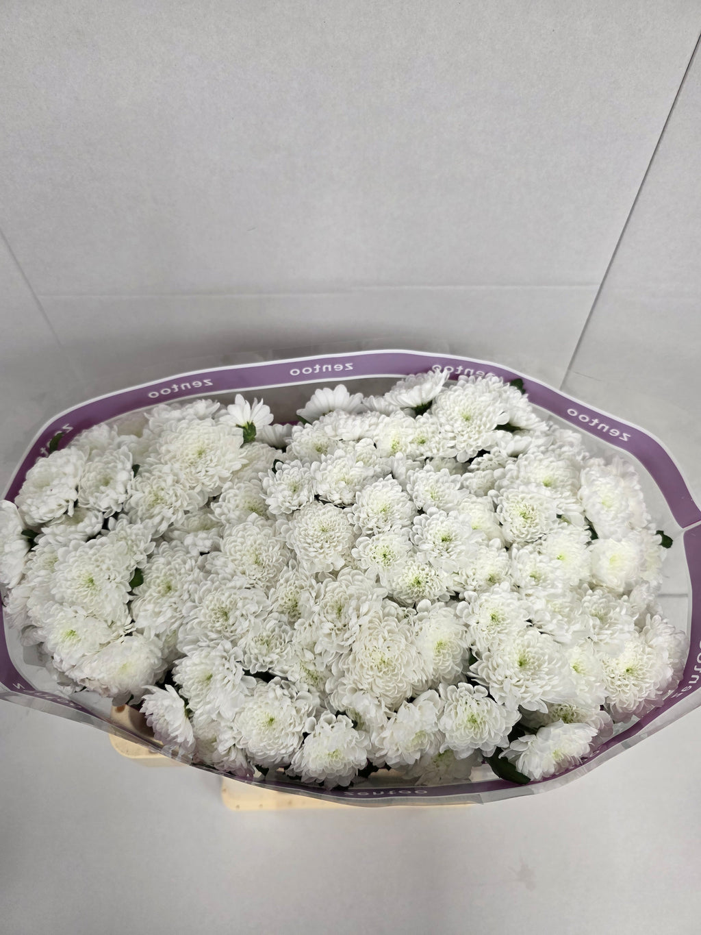 Farm Fresh Santini Baykal (Bunch of 25 stems, Length 55cm)