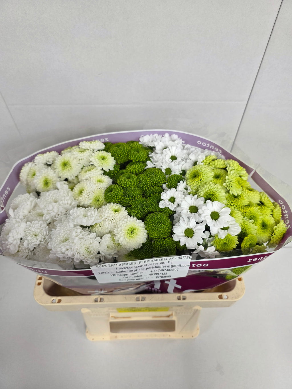 Farm Fresh Santini Cold Mix (Bunch of 25 stems, Length 55cm)