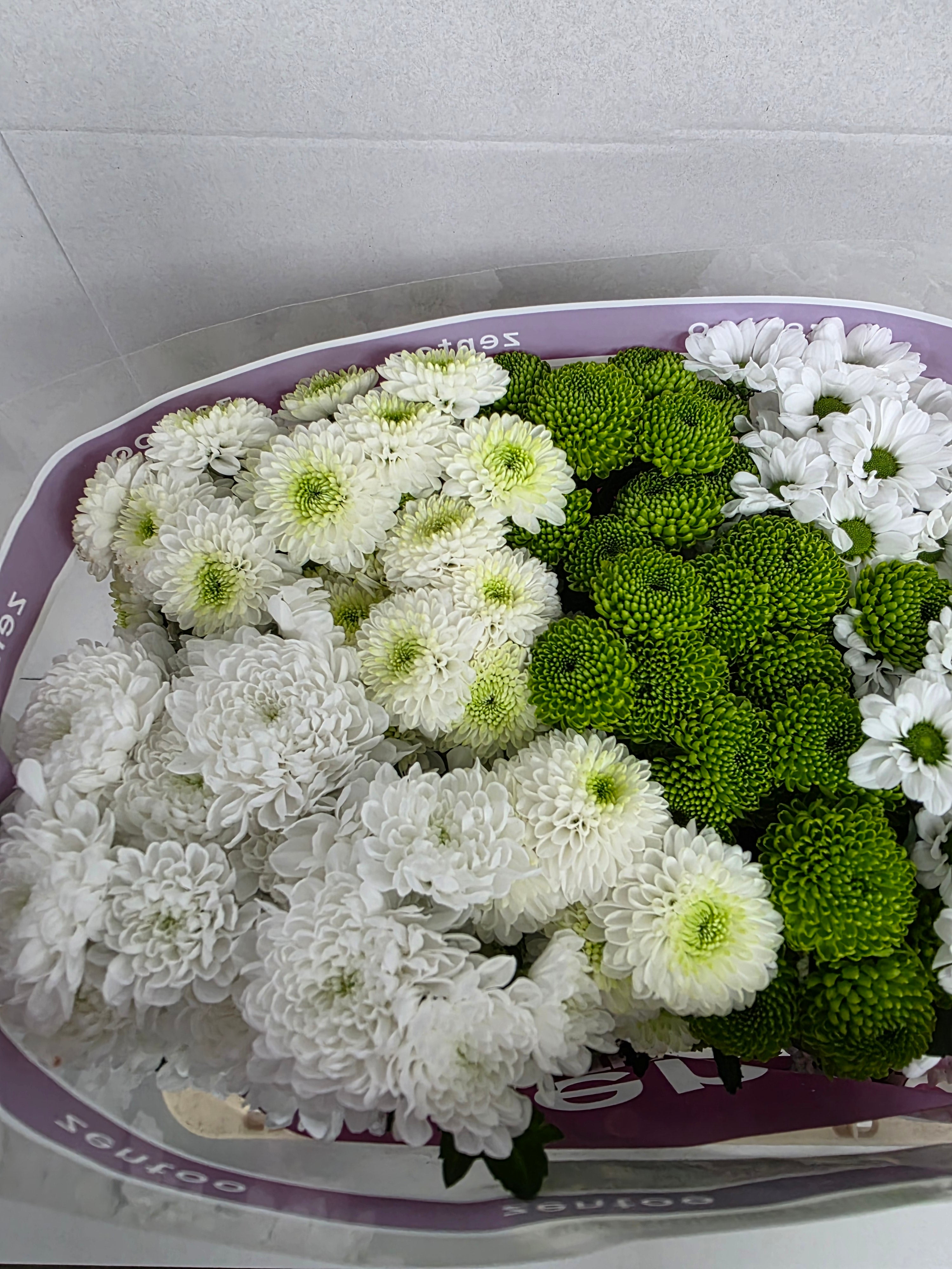Farm Fresh Santini Cold Mix (Bunch of 25 stems, Length 55cm)