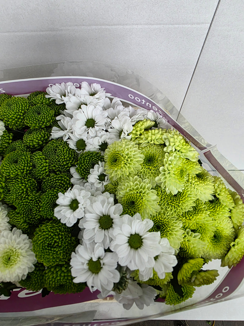 Farm Fresh Santini Cold Mix (Bunch of 25 stems, Length 55cm)