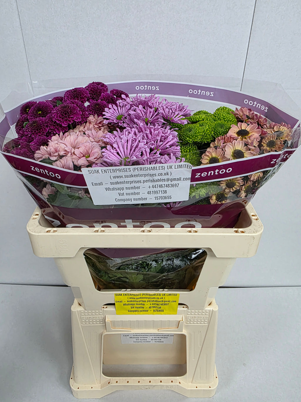 Farm Fresh Santini Happy Mix (Bunch of 25 stems, Length 55cm)
