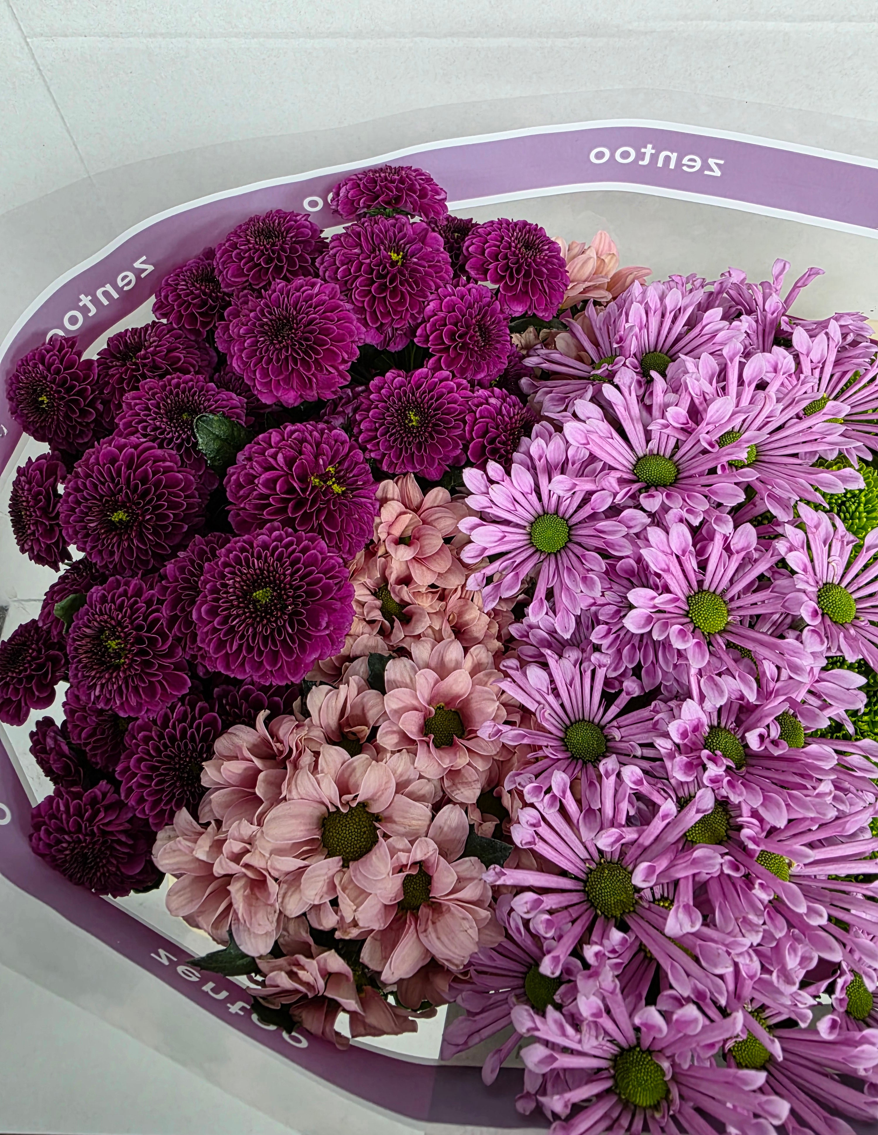Farm Fresh Santini Happy Mix (Bunch of 25 stems, Length 55cm)