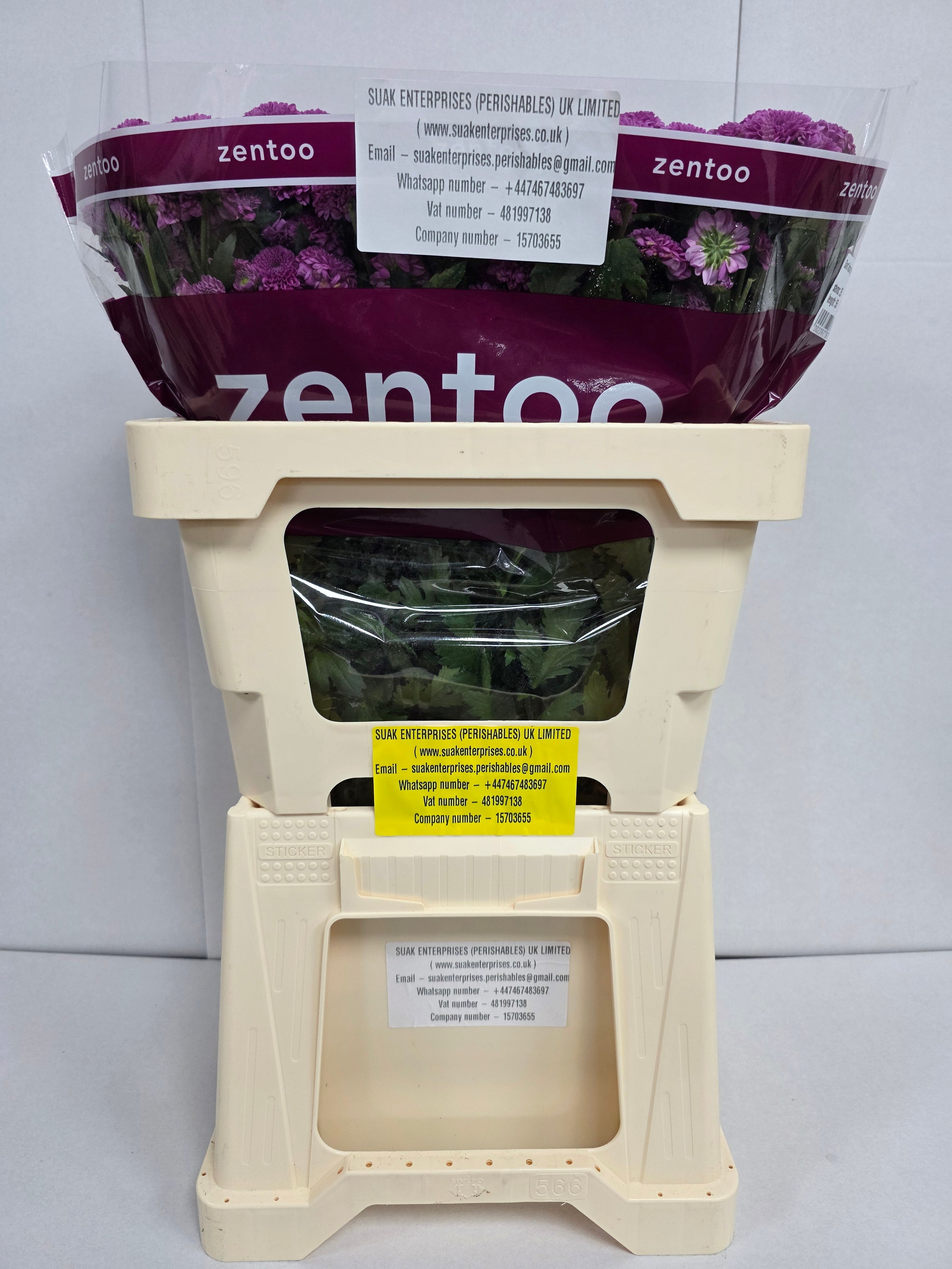 Farm Fresh Santini Kismo Pink (Bunch of 25 stems, Length 55cm)