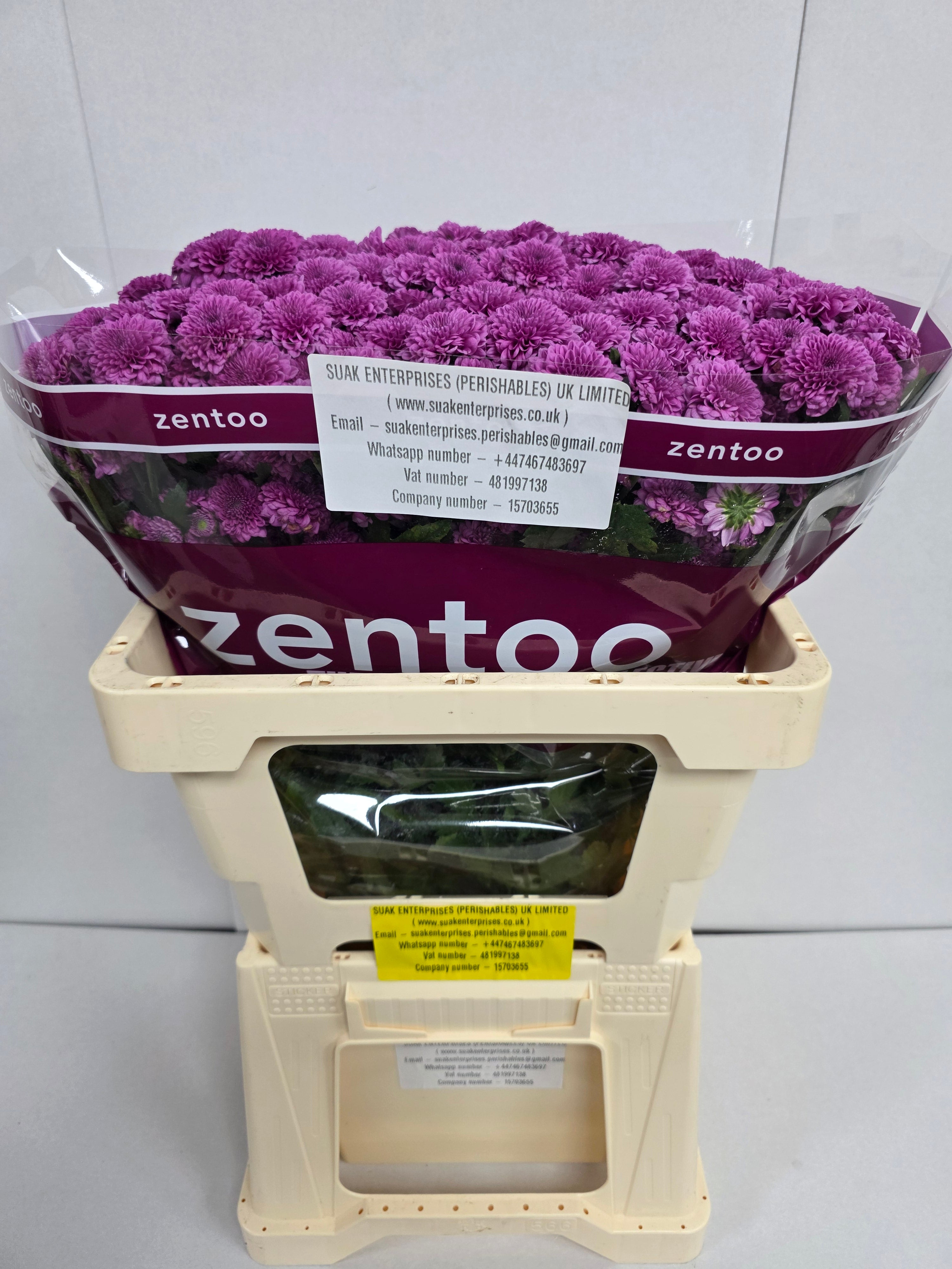 Farm Fresh Santini Kismo Pink (Bunch of 25 stems, Length 55cm)