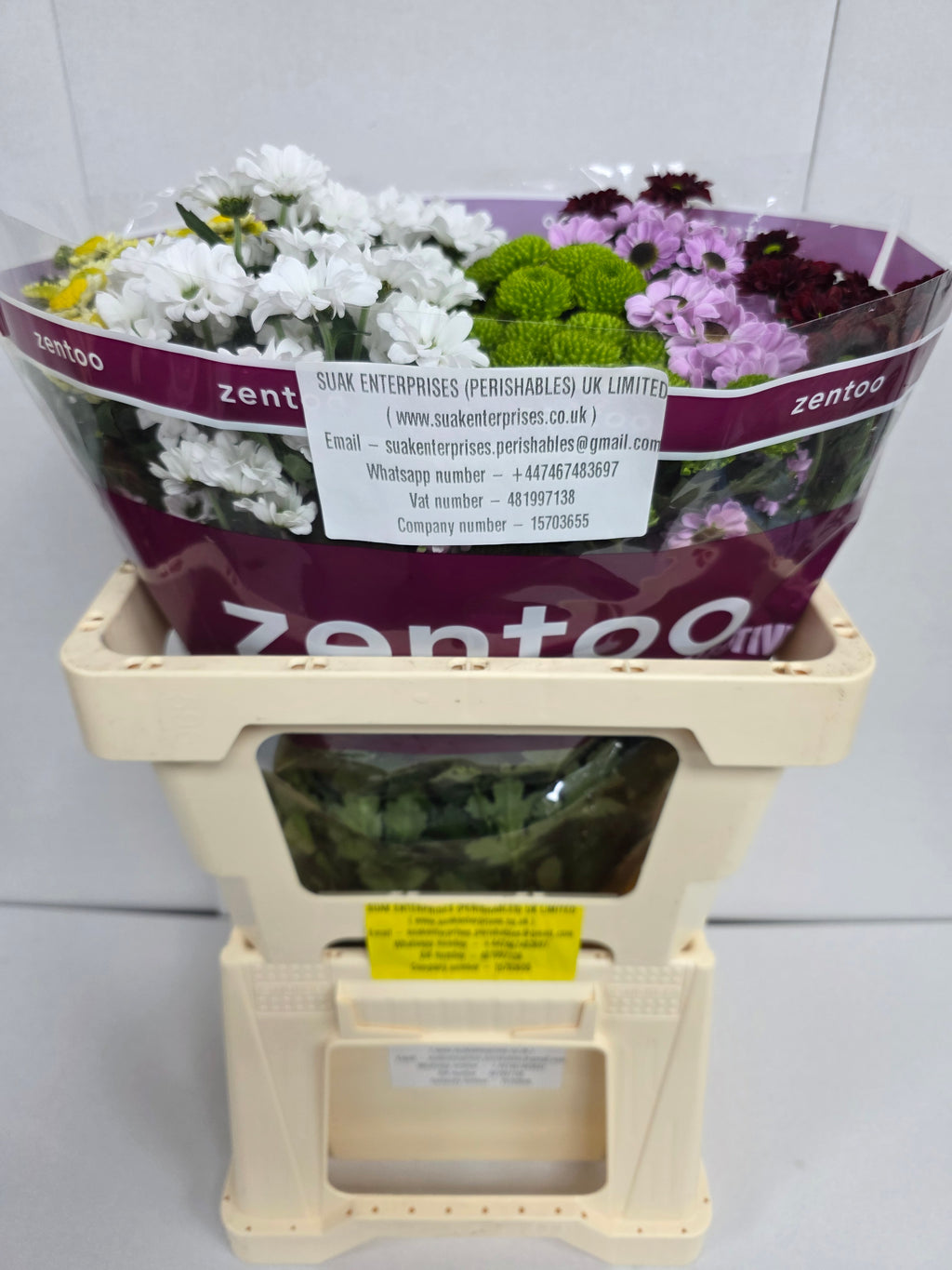 Farm Fresh Santini Mixed (Bunch of 25 stems, Length 55)