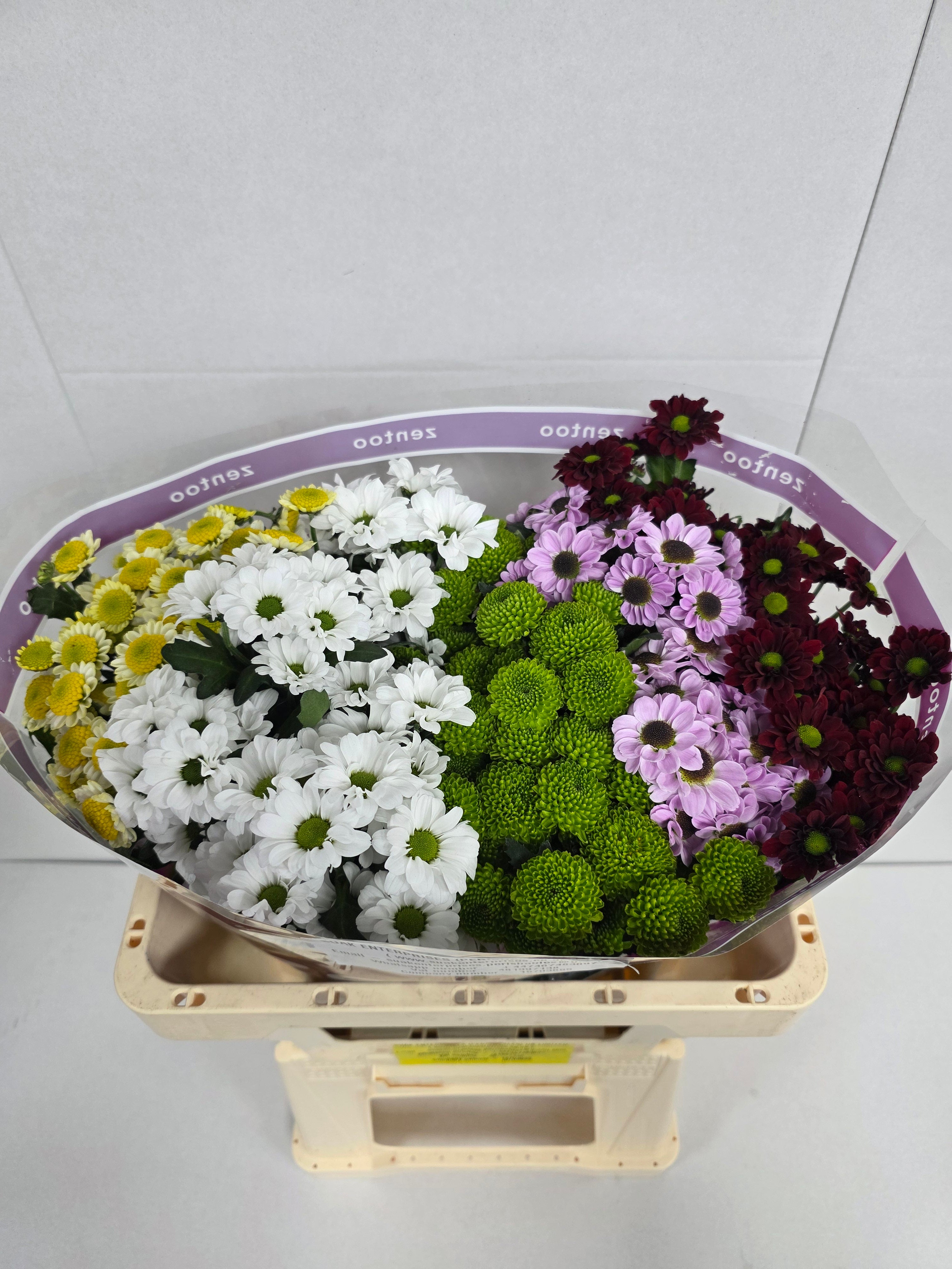 Santani Mixed(Bunch of 25 stems, Length 50-60cm)