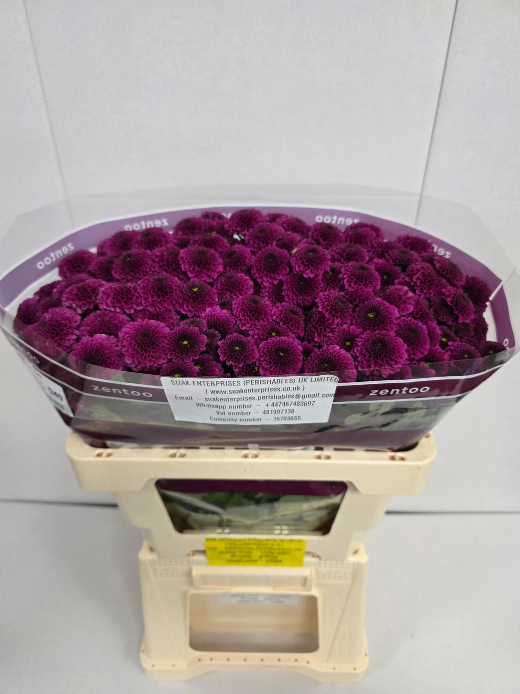Farm Fresh Santini Purpetta (Bunch of 25 stems, Length 55cm)