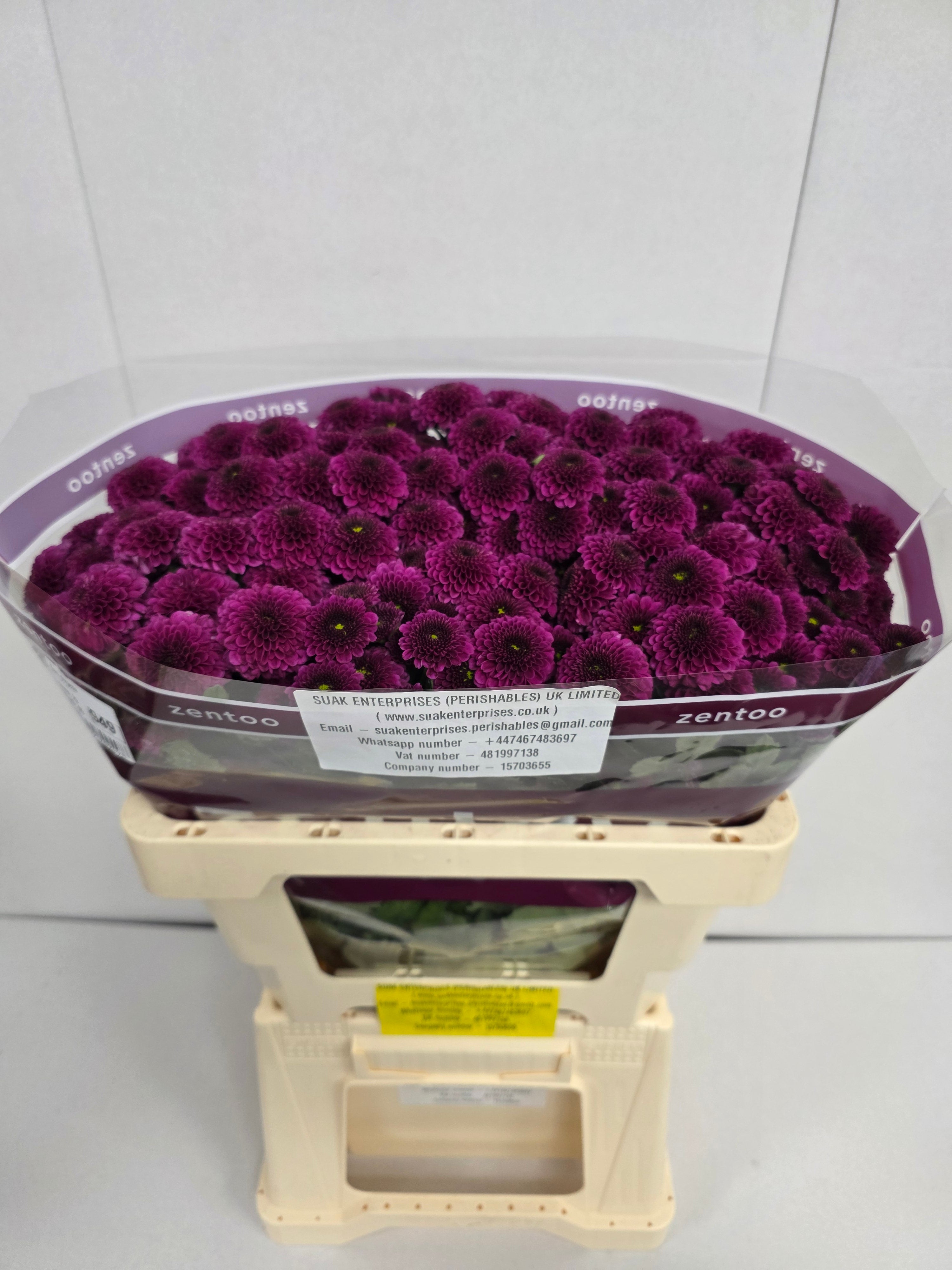 Farm Fresh Santini Purpetta (Bunch of 25 stems, Length 55cm)