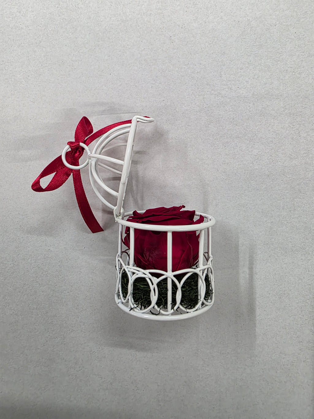 Artificial Preserved Rosa Birdie Red 01