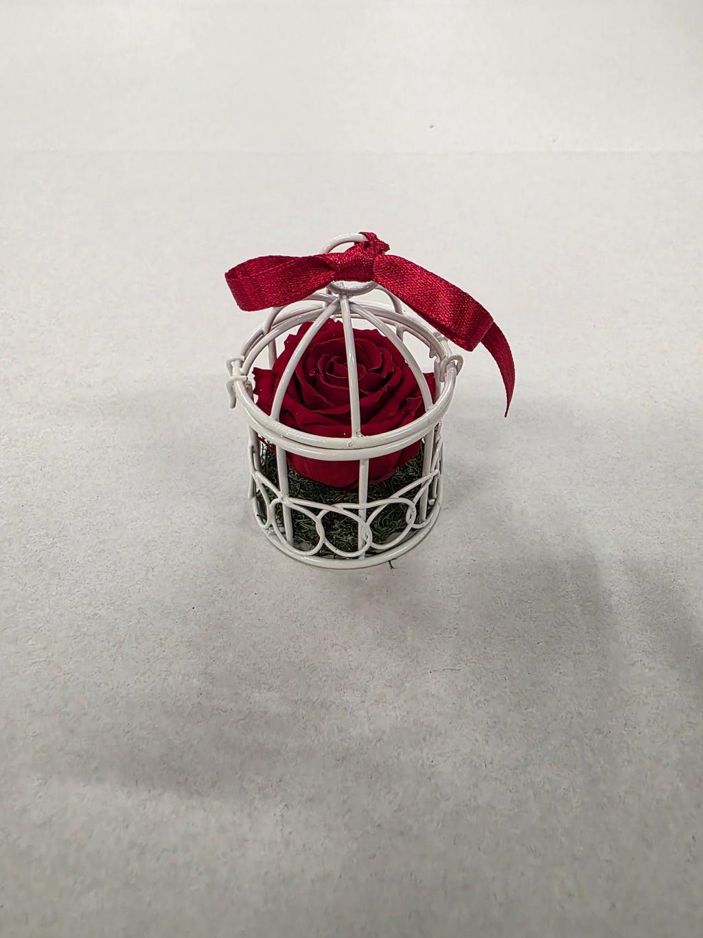 Artificial Preserved Rosa Birdie Red 02