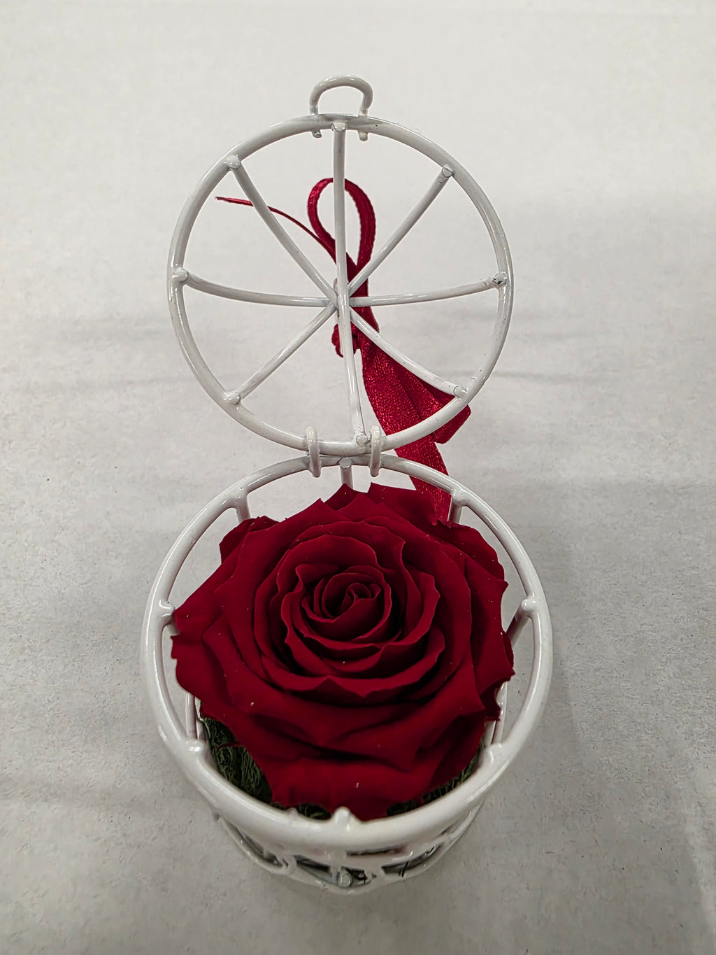 Artificial Preserved Rosa Birdie Red 02