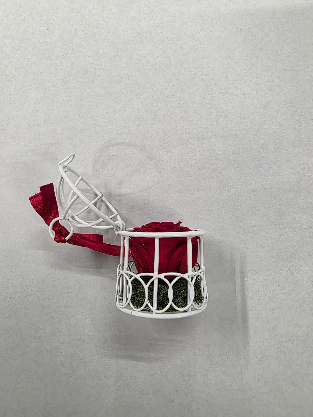 Artificial Preserved Rosa Birdie Red 02