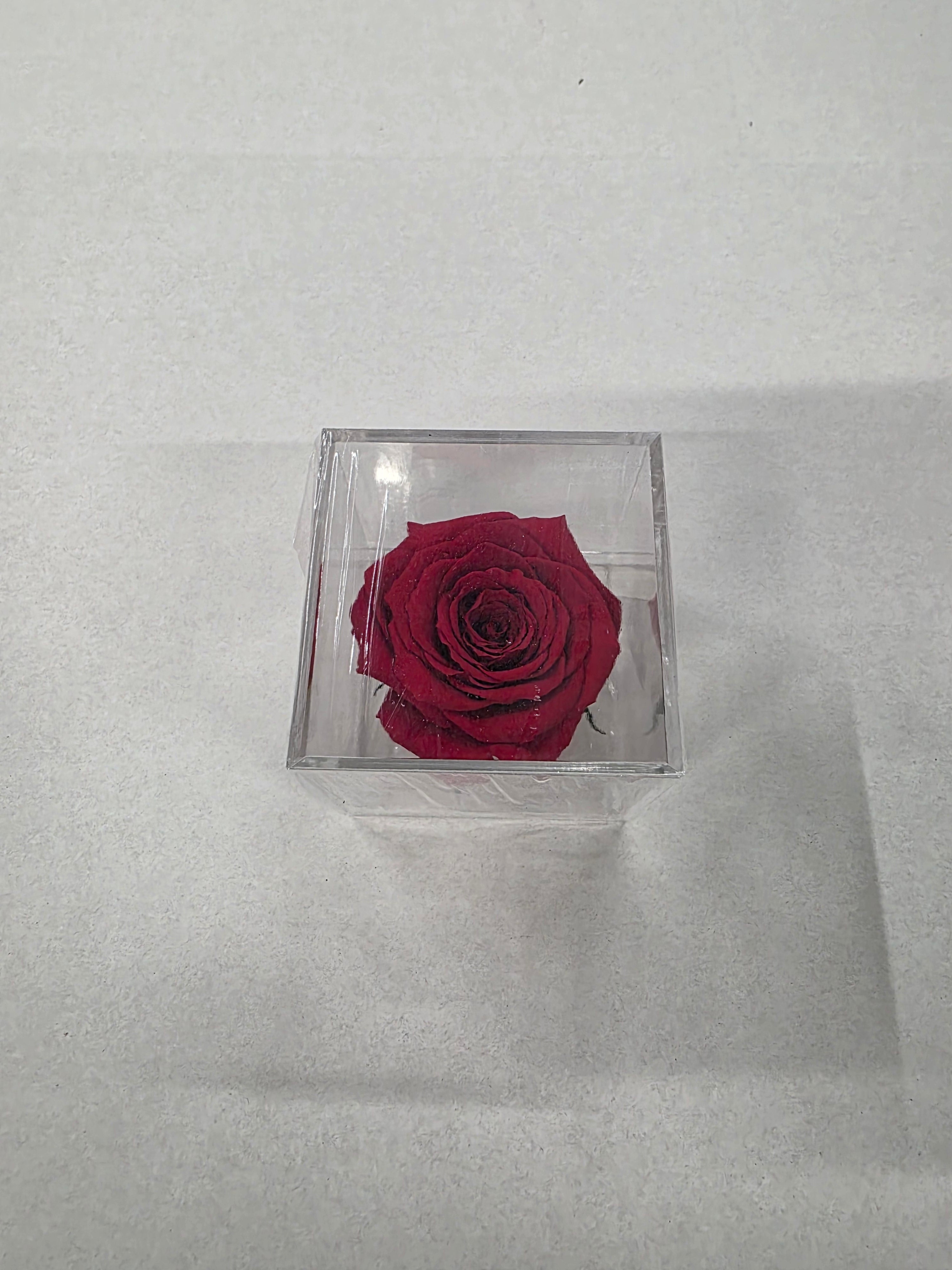 Artificial Preserved Rosa Box 02 Large