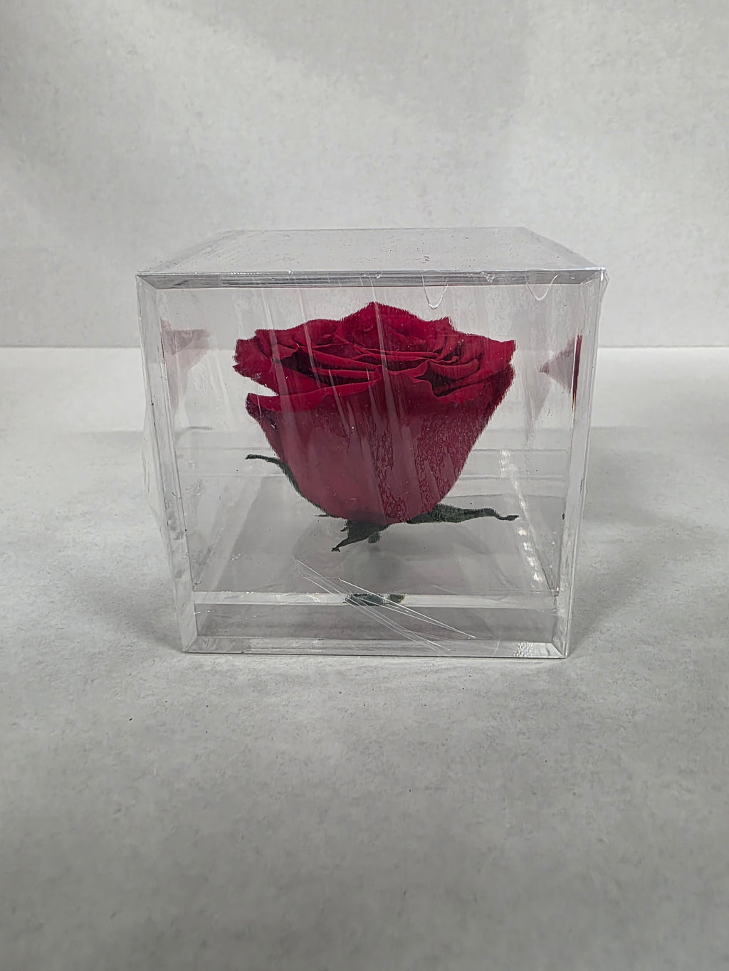 Artificial Preserved Rosa Box 02 Large