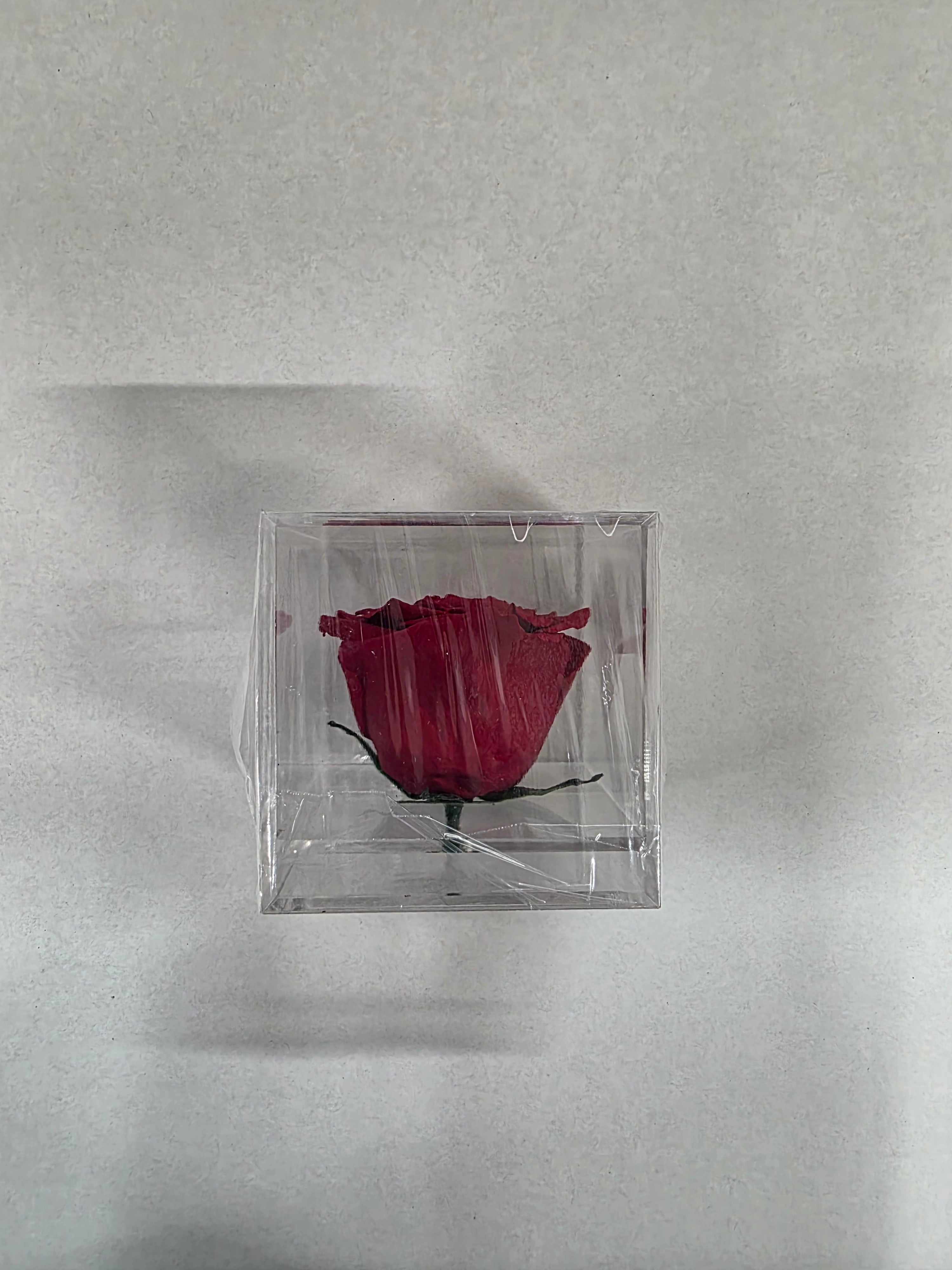 Artificial Preserved Rosa Box 02 Large