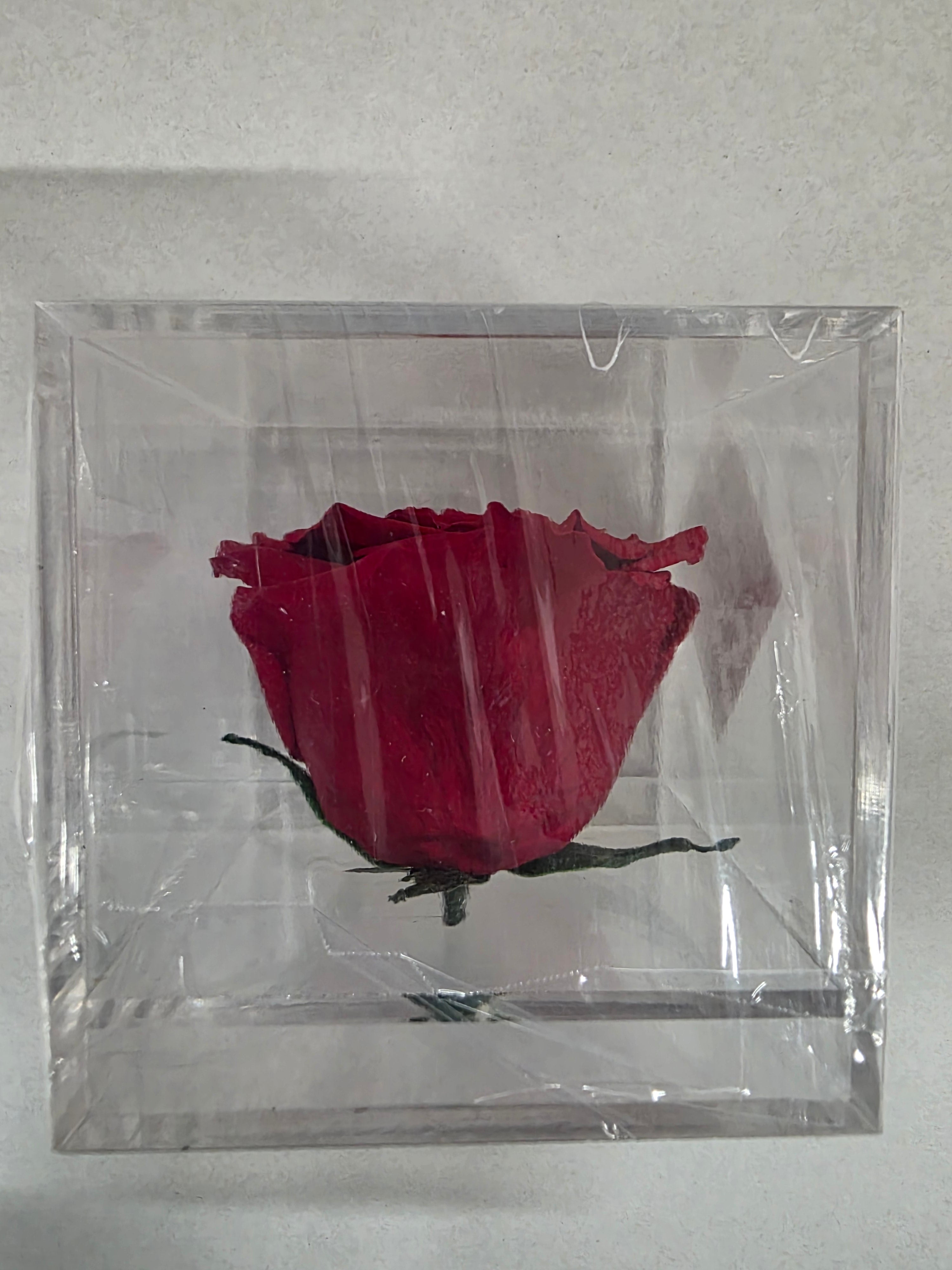 Artificial Preserved Rosa Box 02 Large