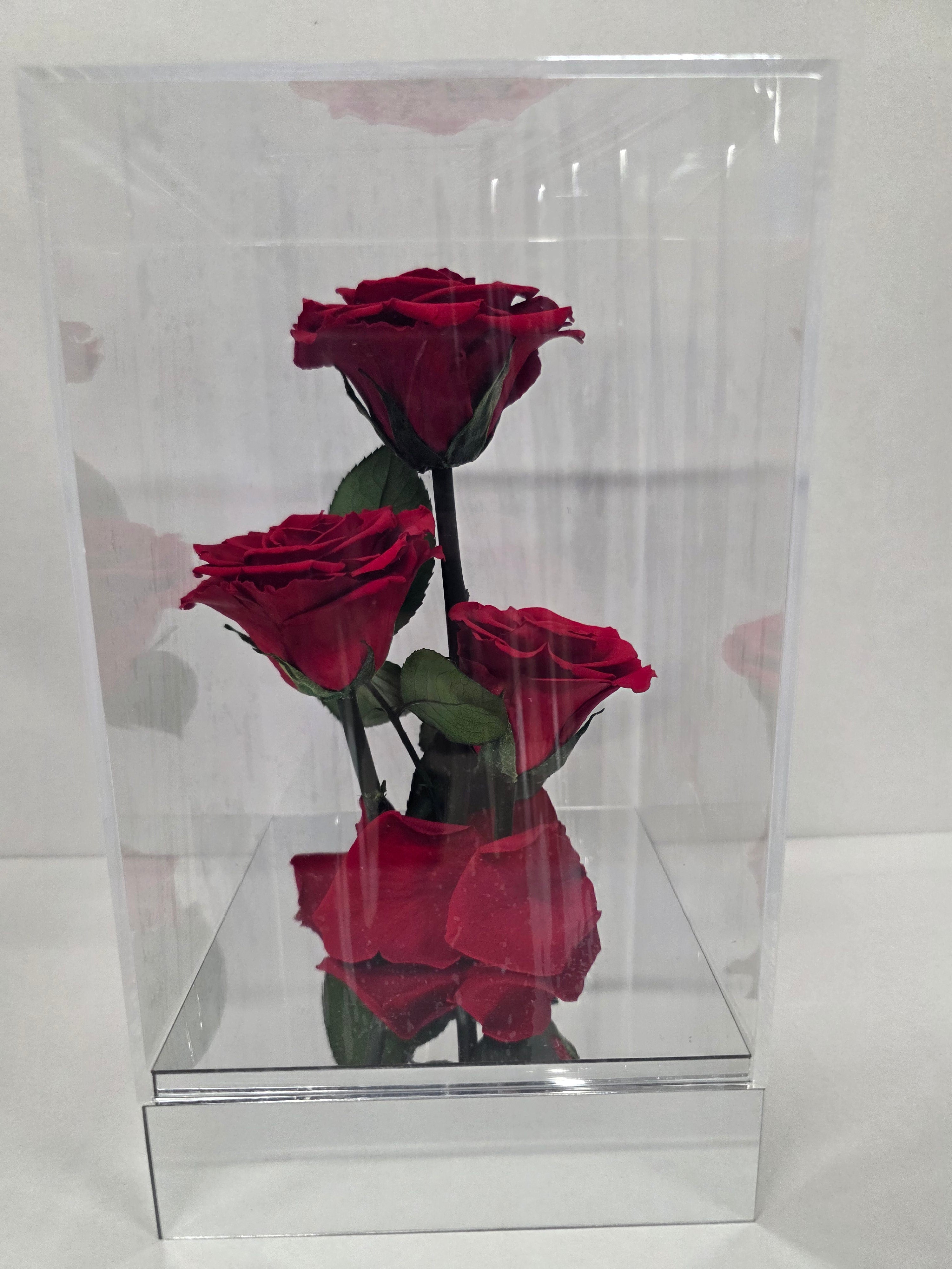 Artificial Preserved Rosa Gb15 Red 02
