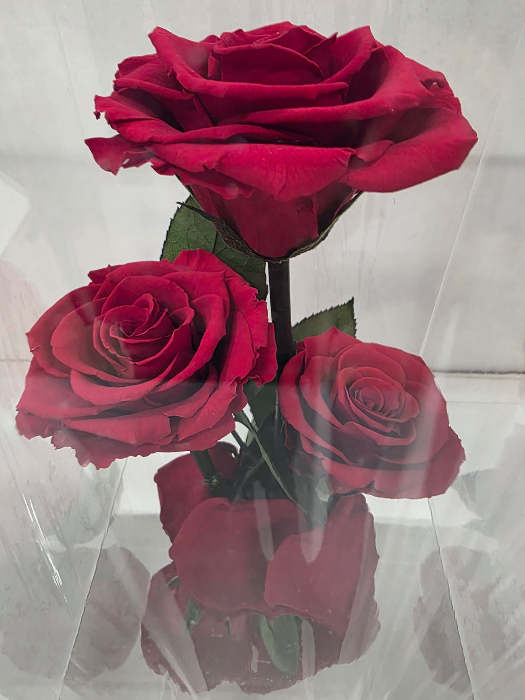 Artificial Preserved Rosa Gb15 Red 02