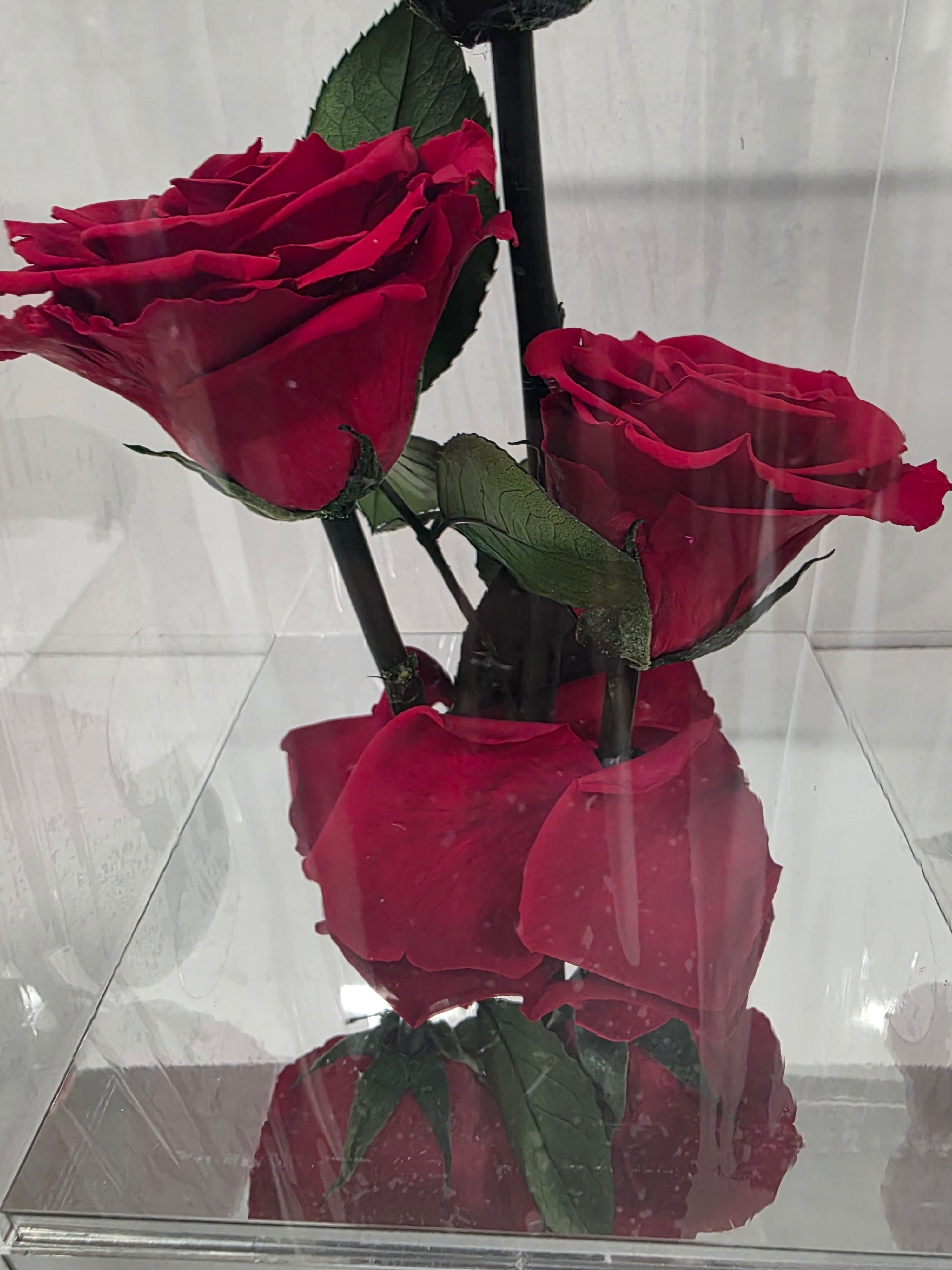 Artificial Preserved Rosa Gb15 Red 02