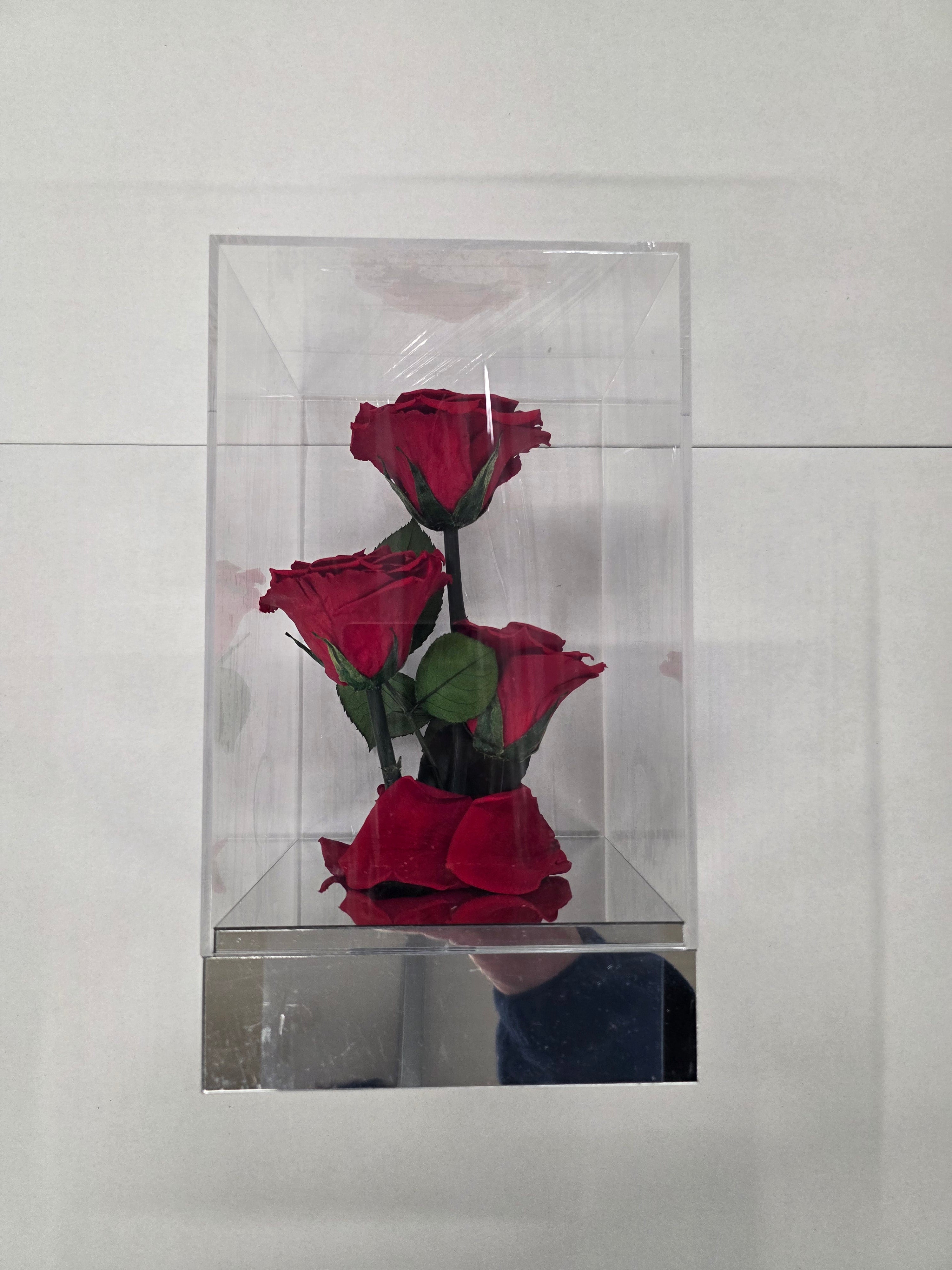Artificial Preserved Rosa Gb15 Red 02