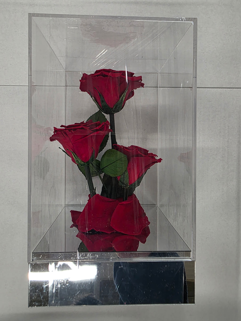 Artificial Preserved Rosa Gb15 Red 02