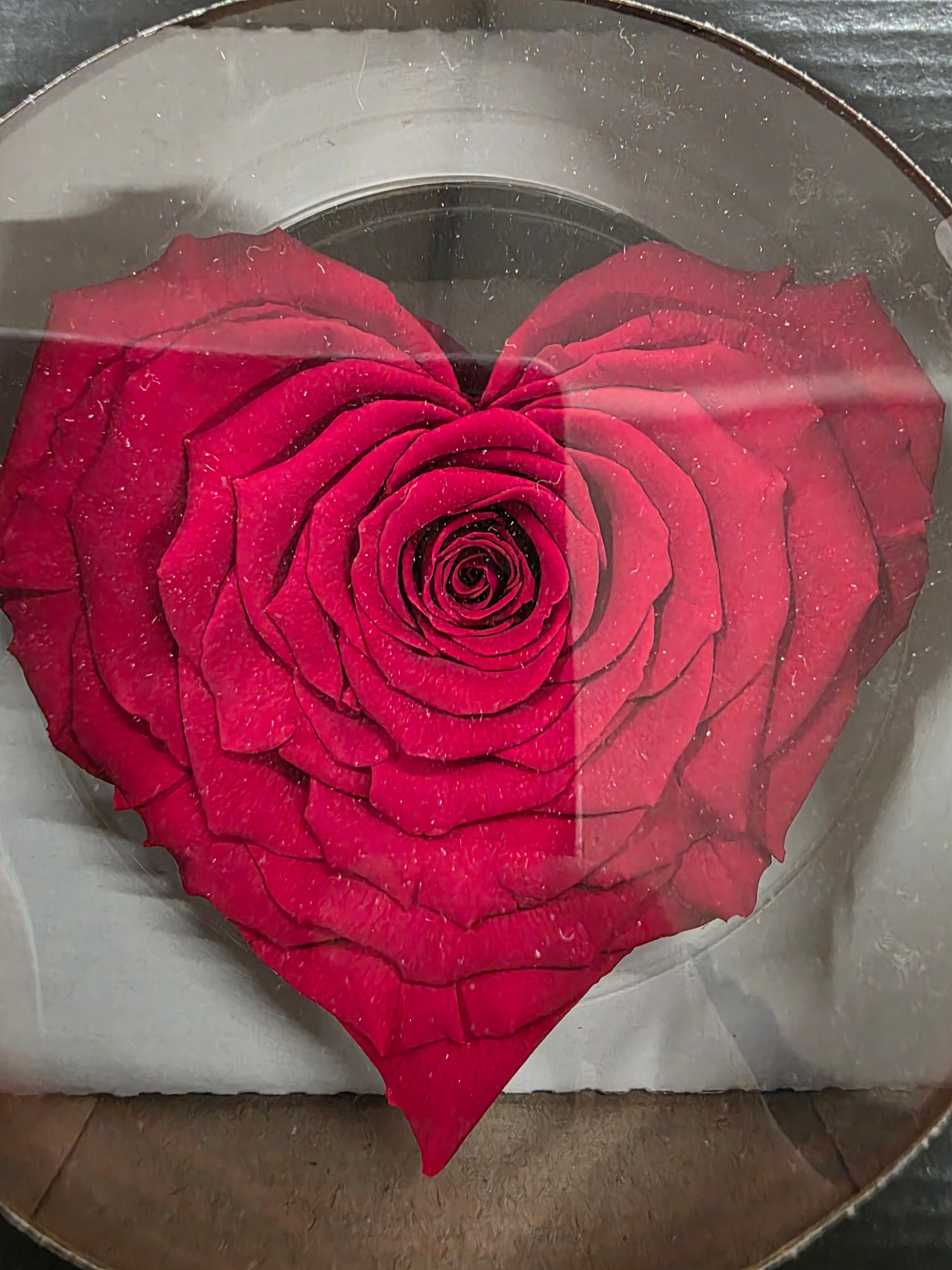 Artificial Preserved Rosa Heart Xxl Red 02