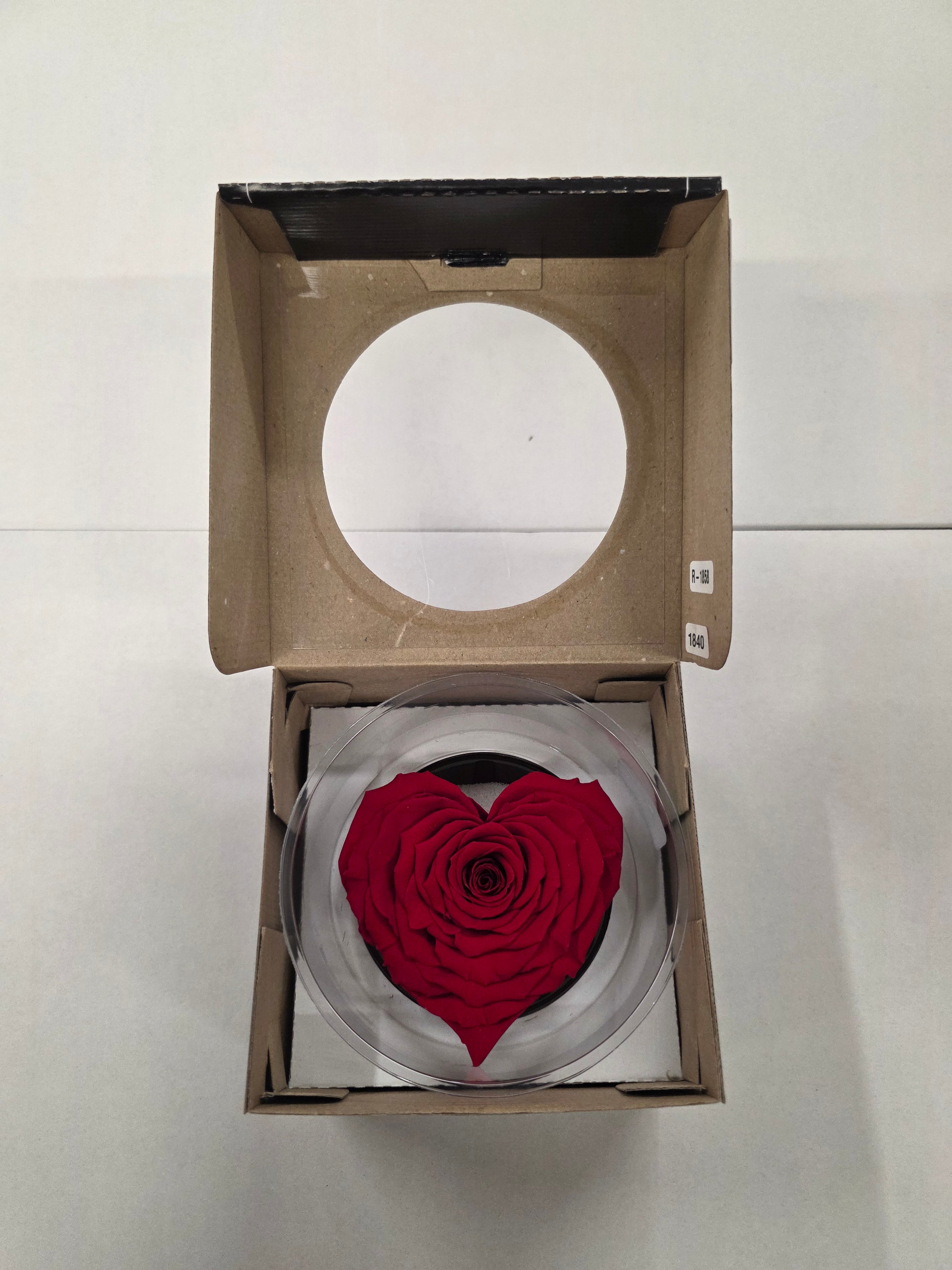Artificial Preserved Rosa Heart Xxl Red 02
