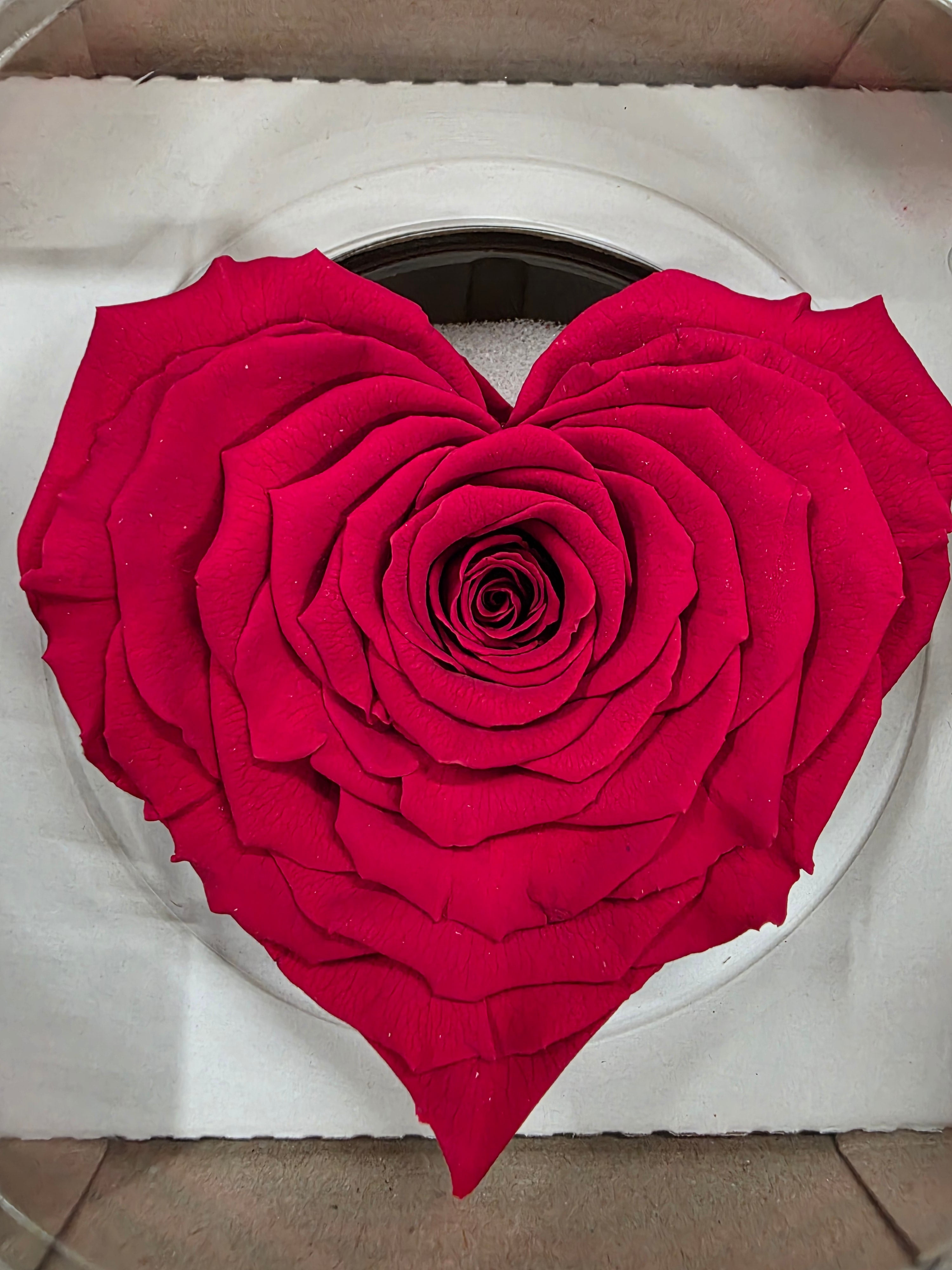 Artificial Preserved Rosa Heart Xxl Red 02