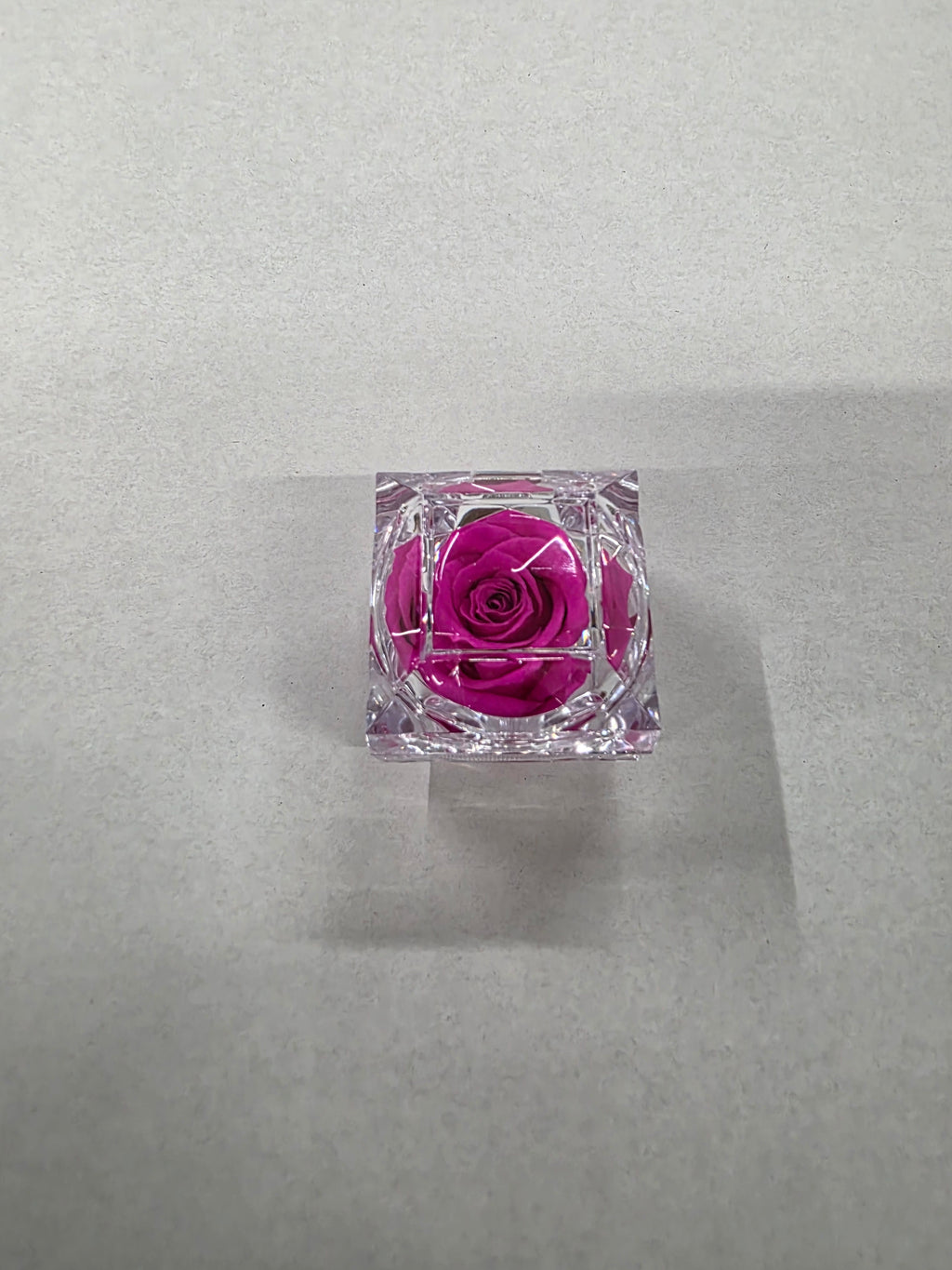 Artificial Preserved Rosa Jewel Box Pink 07