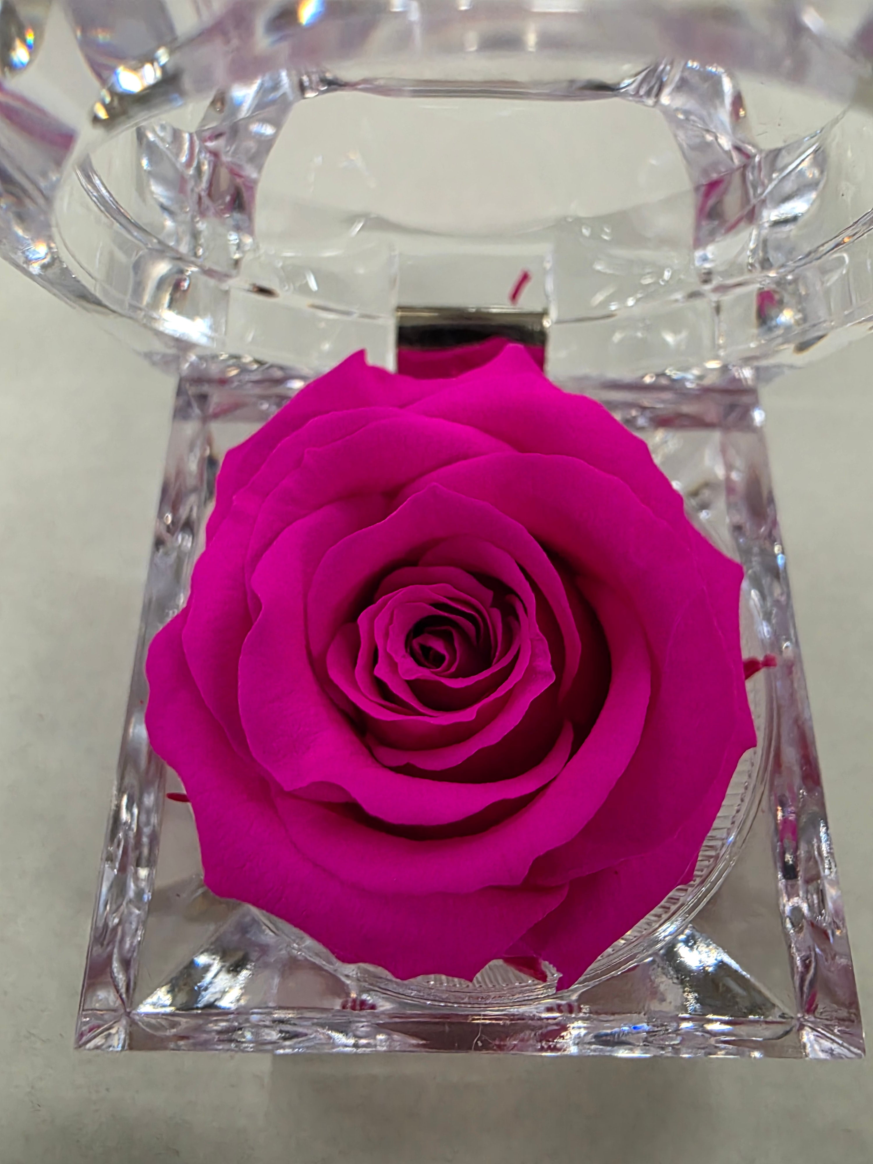 Artificial Preserved Rosa Jewel Box Pink 07