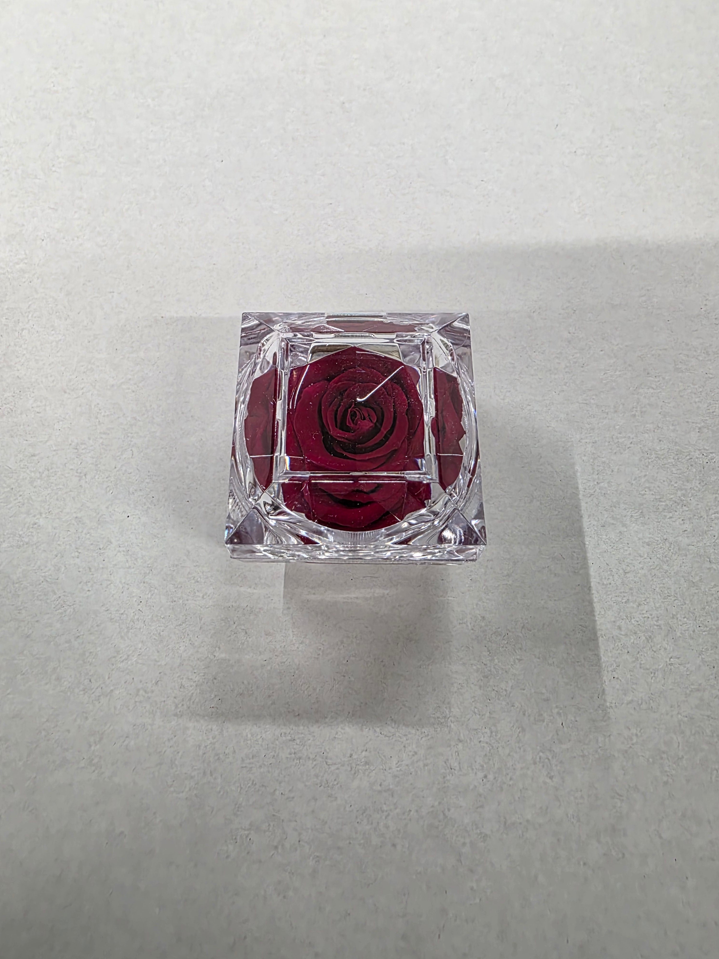 Artificial Preserved Rosa Jewel Box Red 01