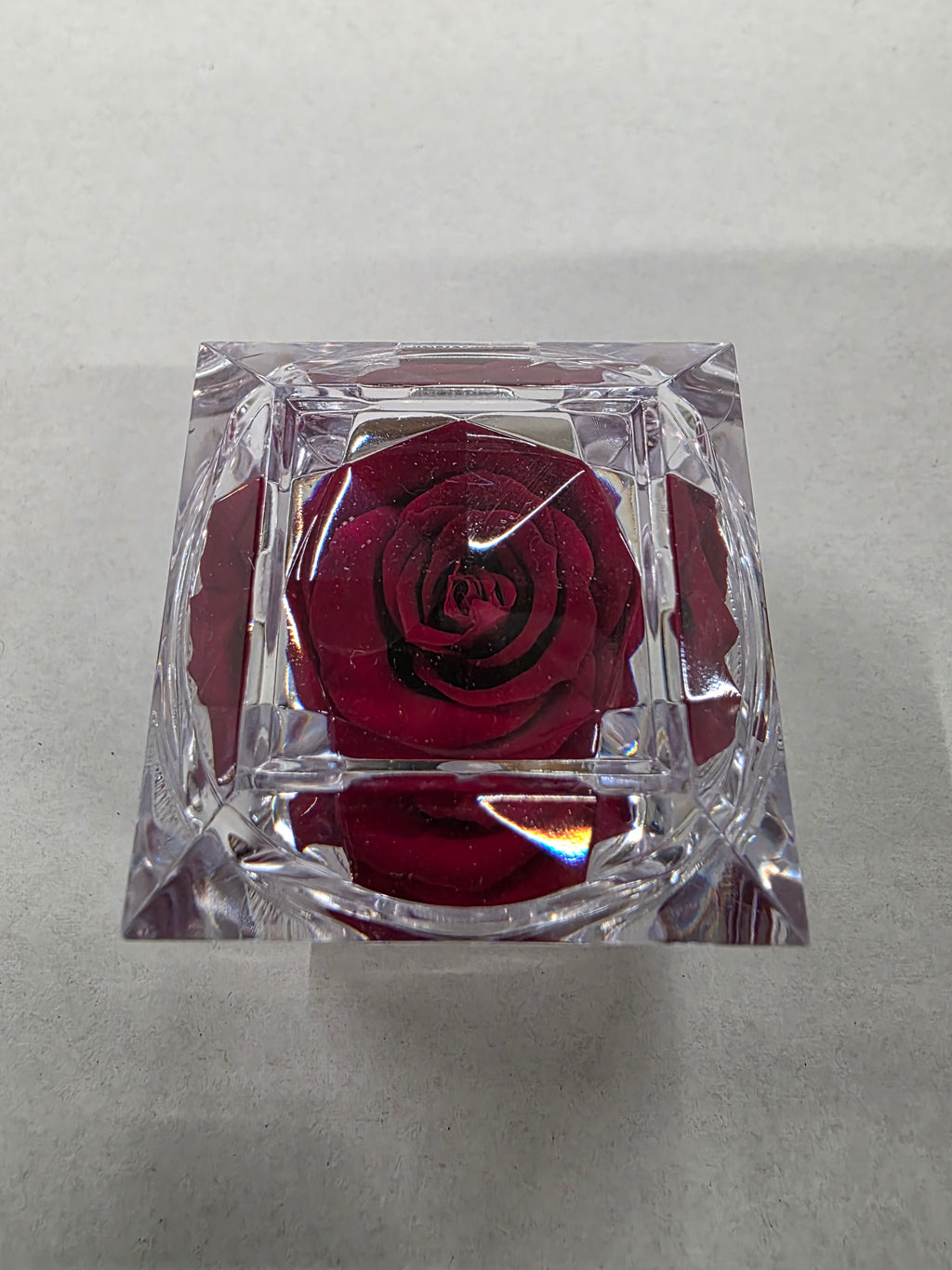 Artificial Preserved Rosa Jewel Box Red 01
