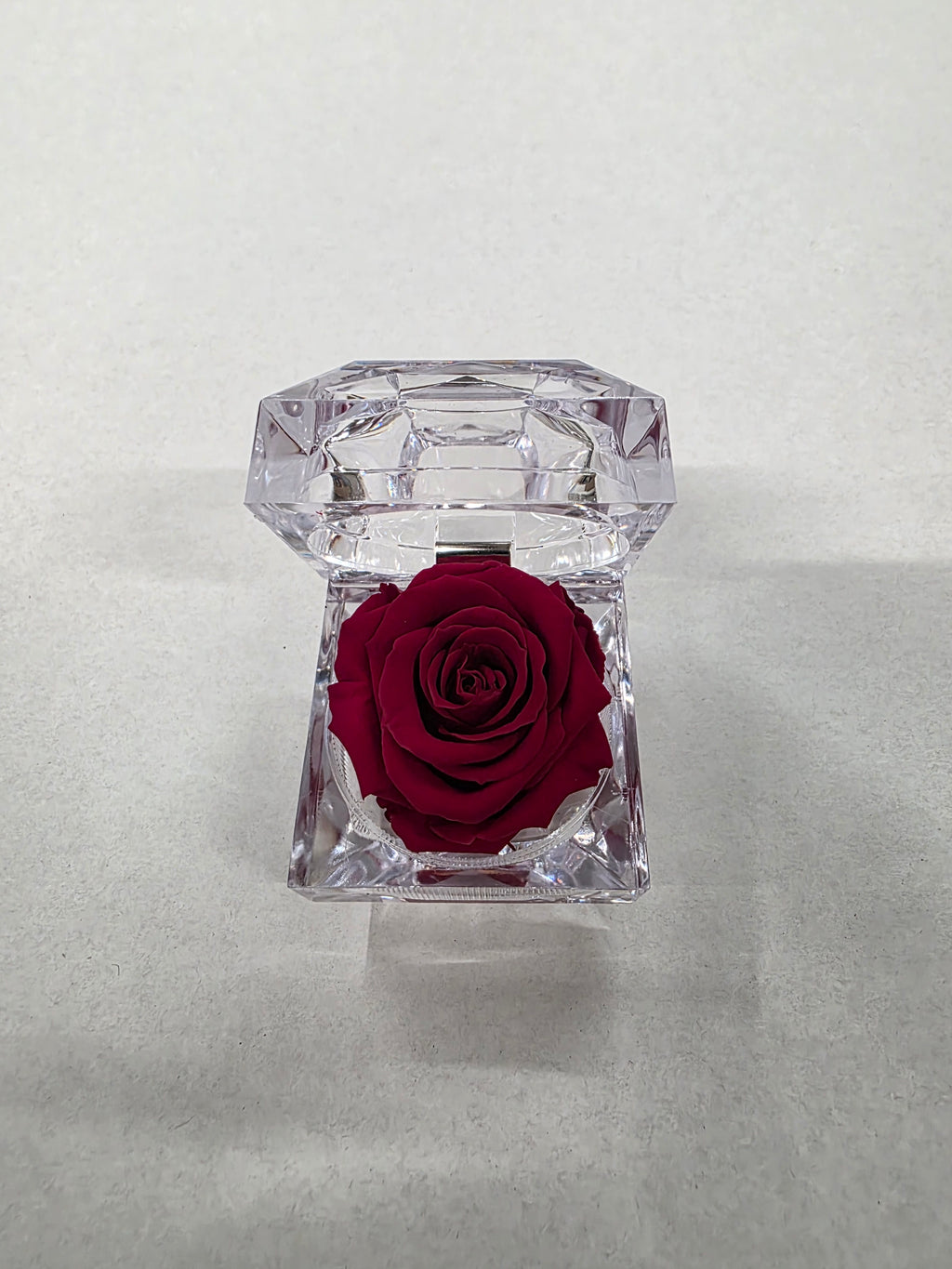 Artificial Preserved Rosa Jewel Box Red 01