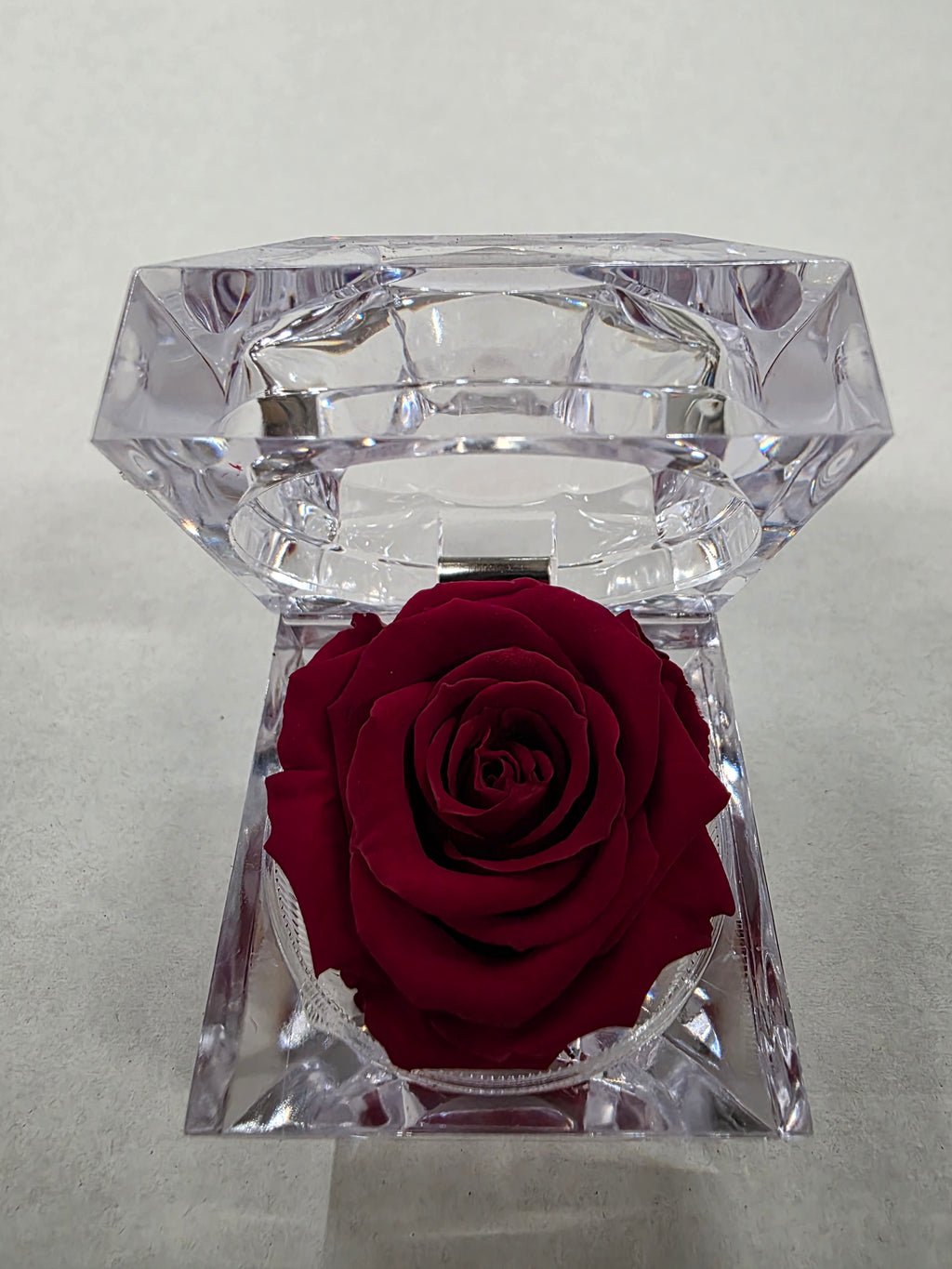 Artificial Preserved Rosa Jewel Box Red 01