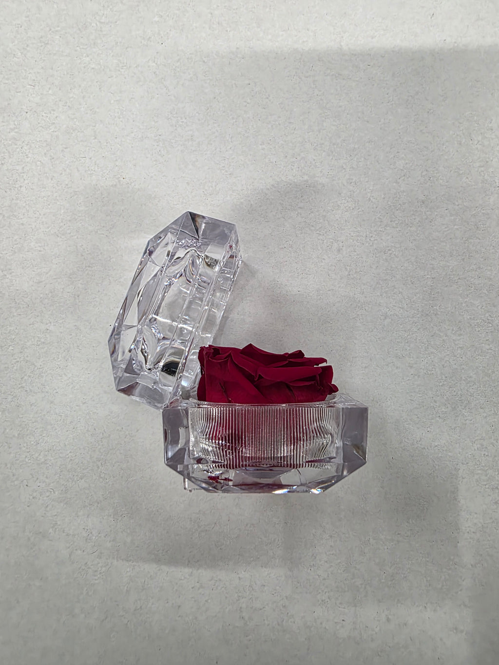 Artificial Preserved Rosa Jewel Box Red 01