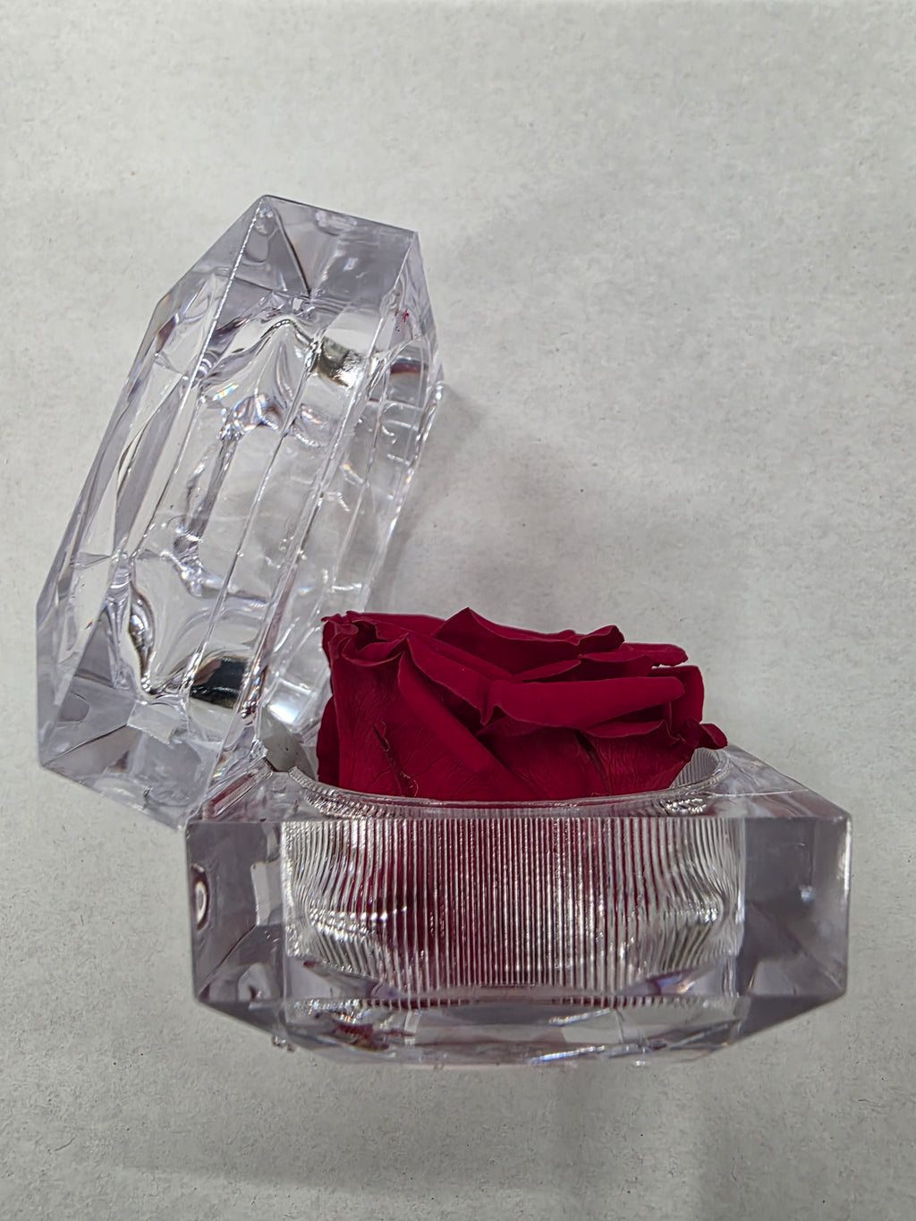 Artificial Preserved Rosa Jewel Box Red 01