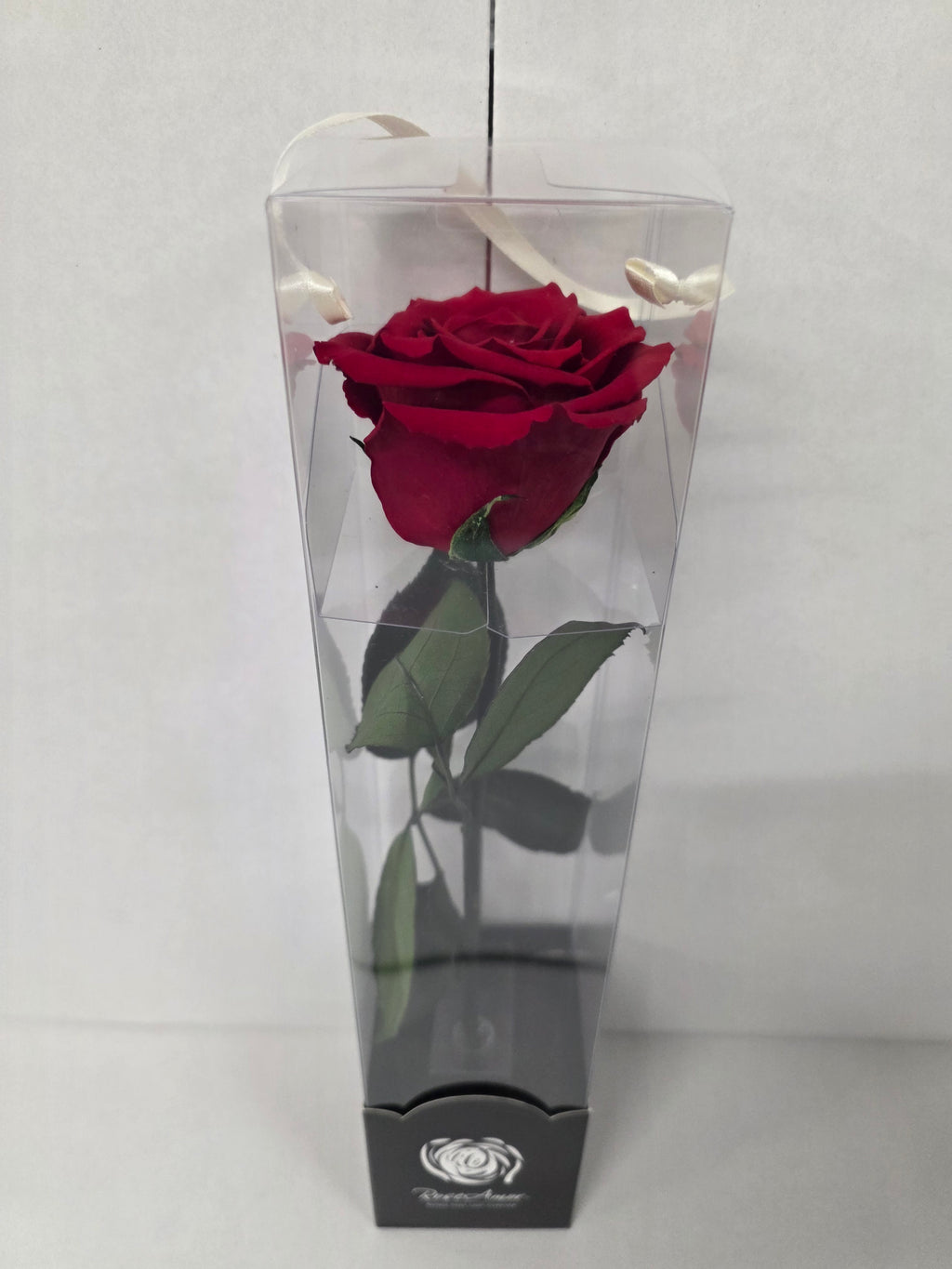 Preserved Rosa With Stem Red 02 30cm
