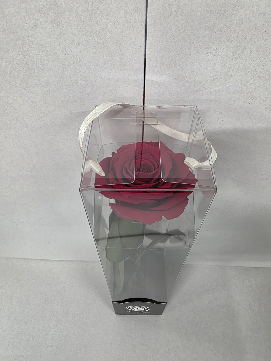 Preserved Rosa With Stem Red 01 30cm