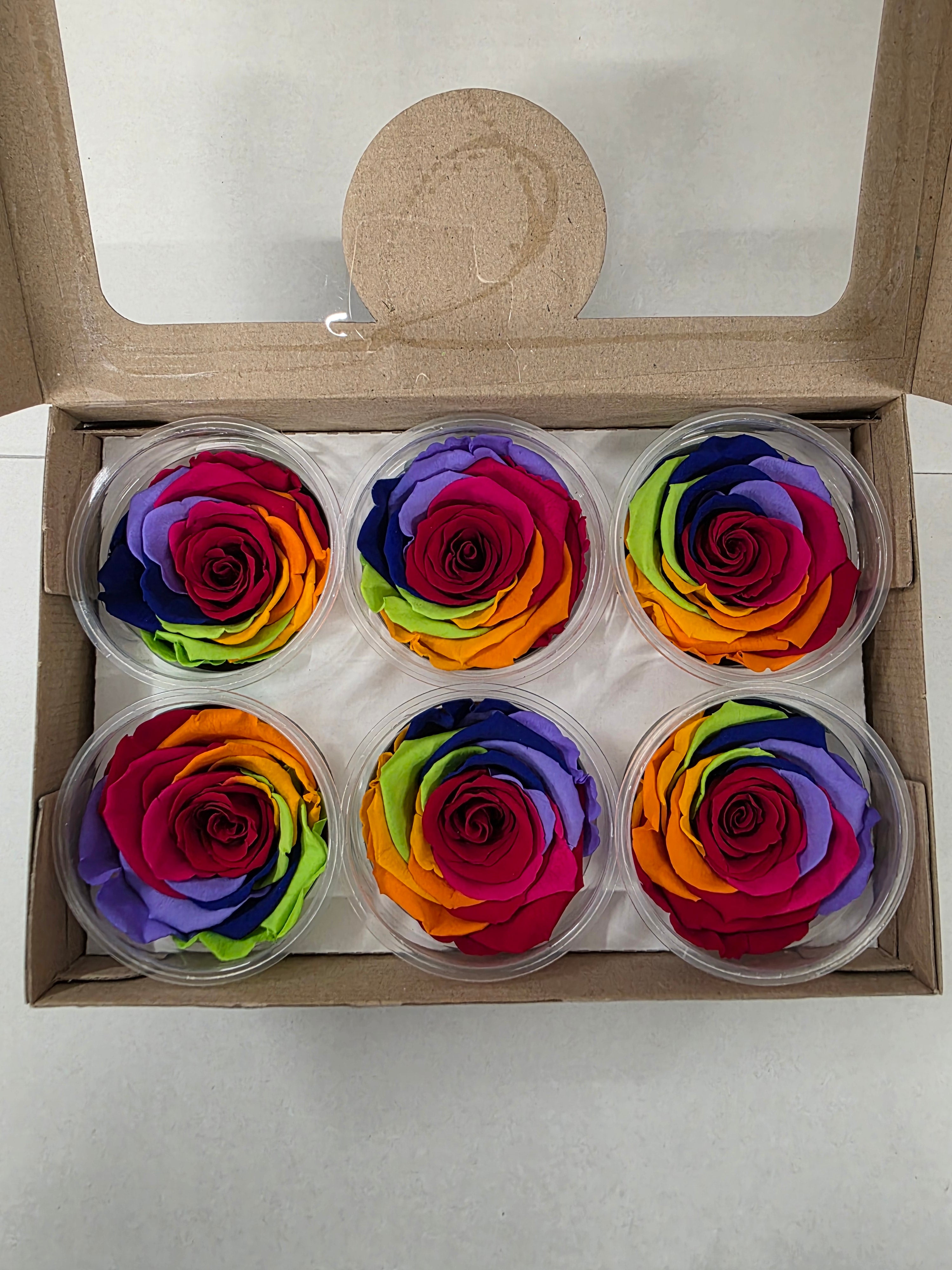 Artificial Preserved Rosa Xl Rainbow Red 02