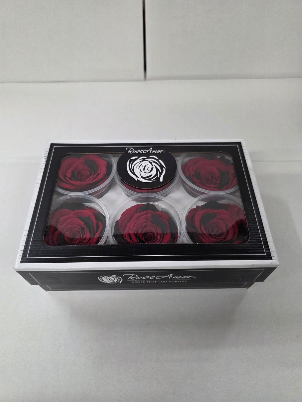 Artificial Preserved Rosa Xl Red Black Fleck 03