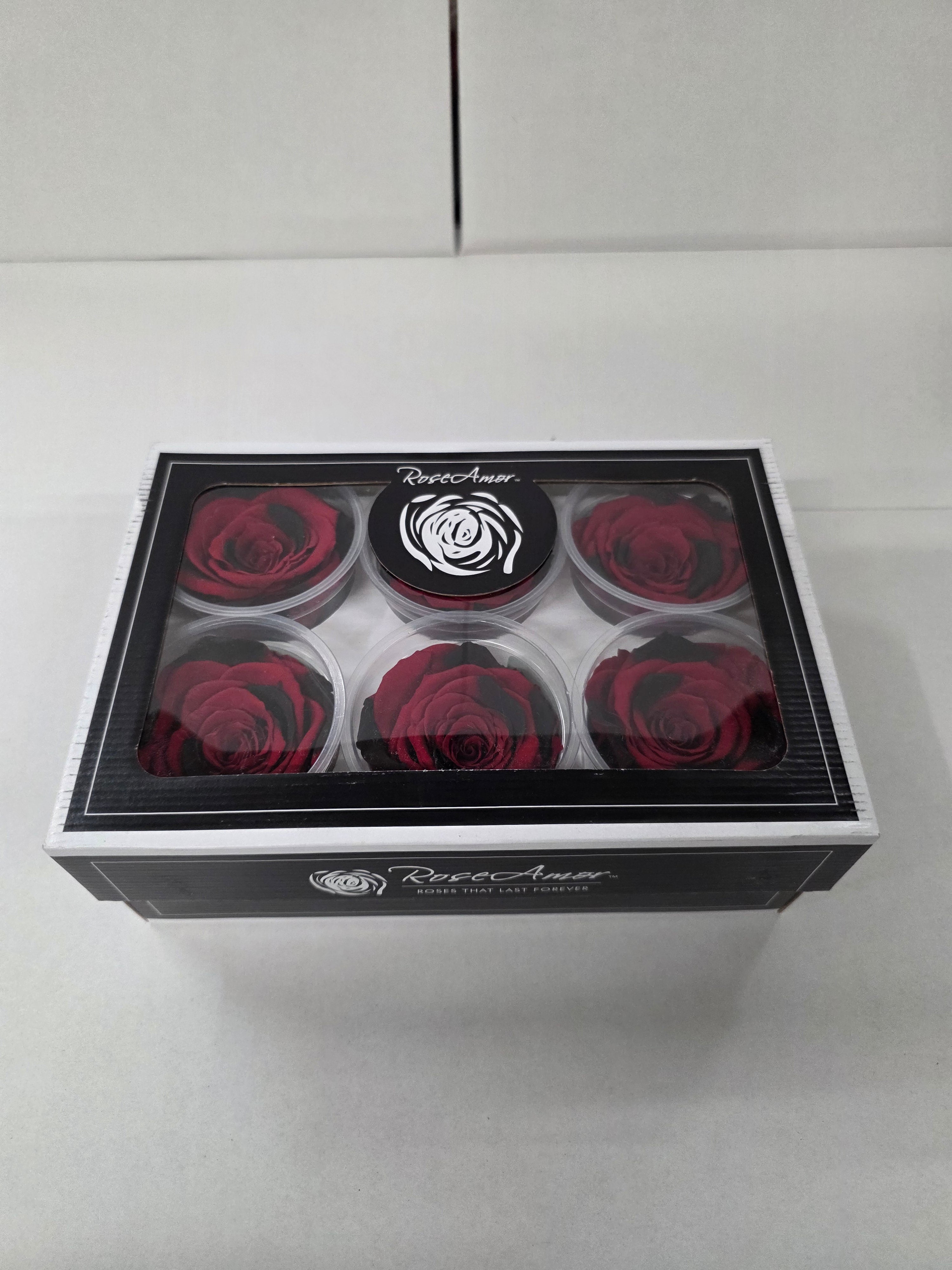 Artificial Preserved Rosa Xl Red Black Fleck 03