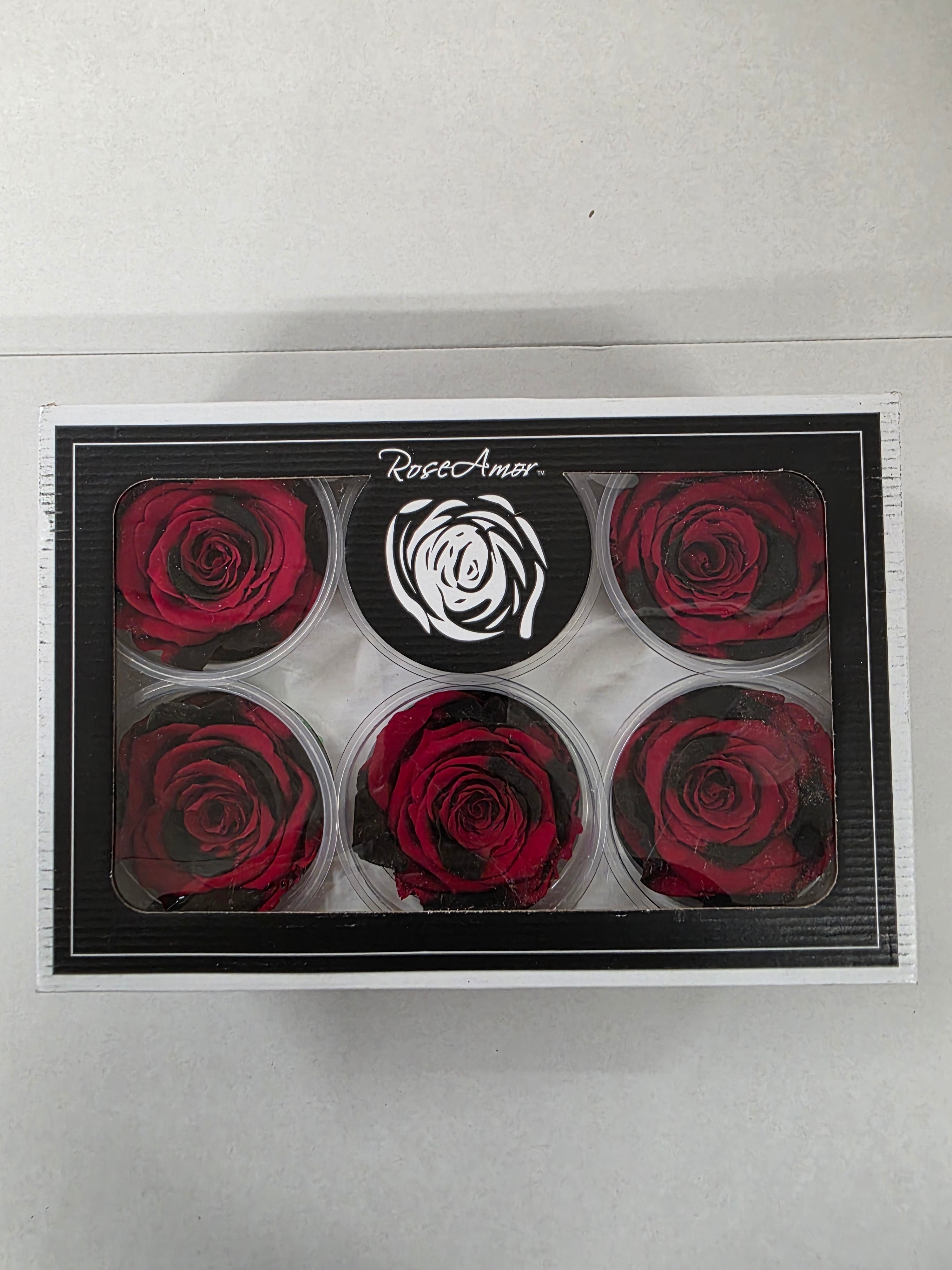 Artificial Preserved Rosa Xl Red Black Fleck 03
